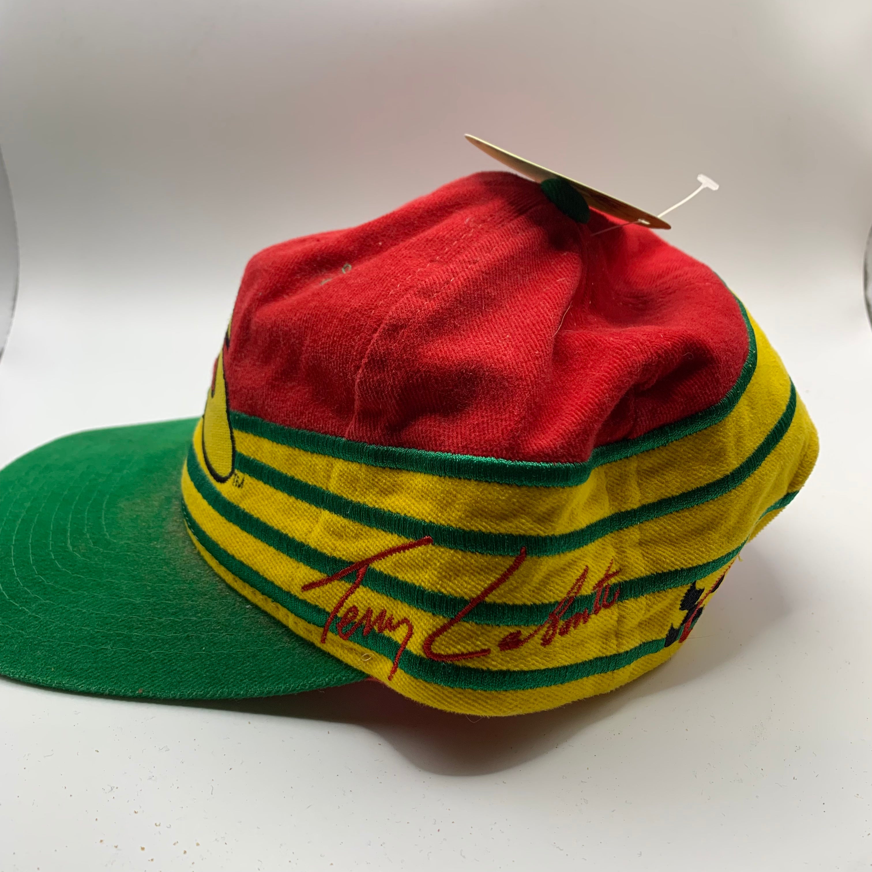 Vintage Chase Kellogs Racing Terry Labonte Colorblock Snapback Hat