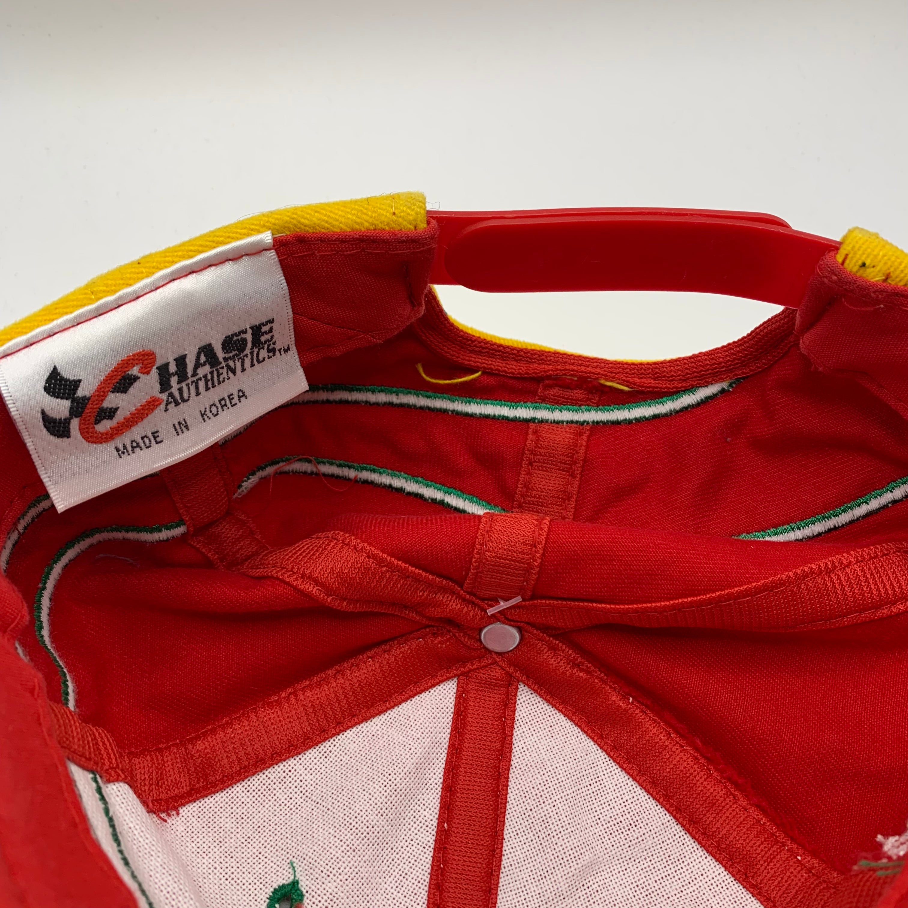 Vintage Chase Kellogs Racing Terry Labonte Colorblock Snapback Hat