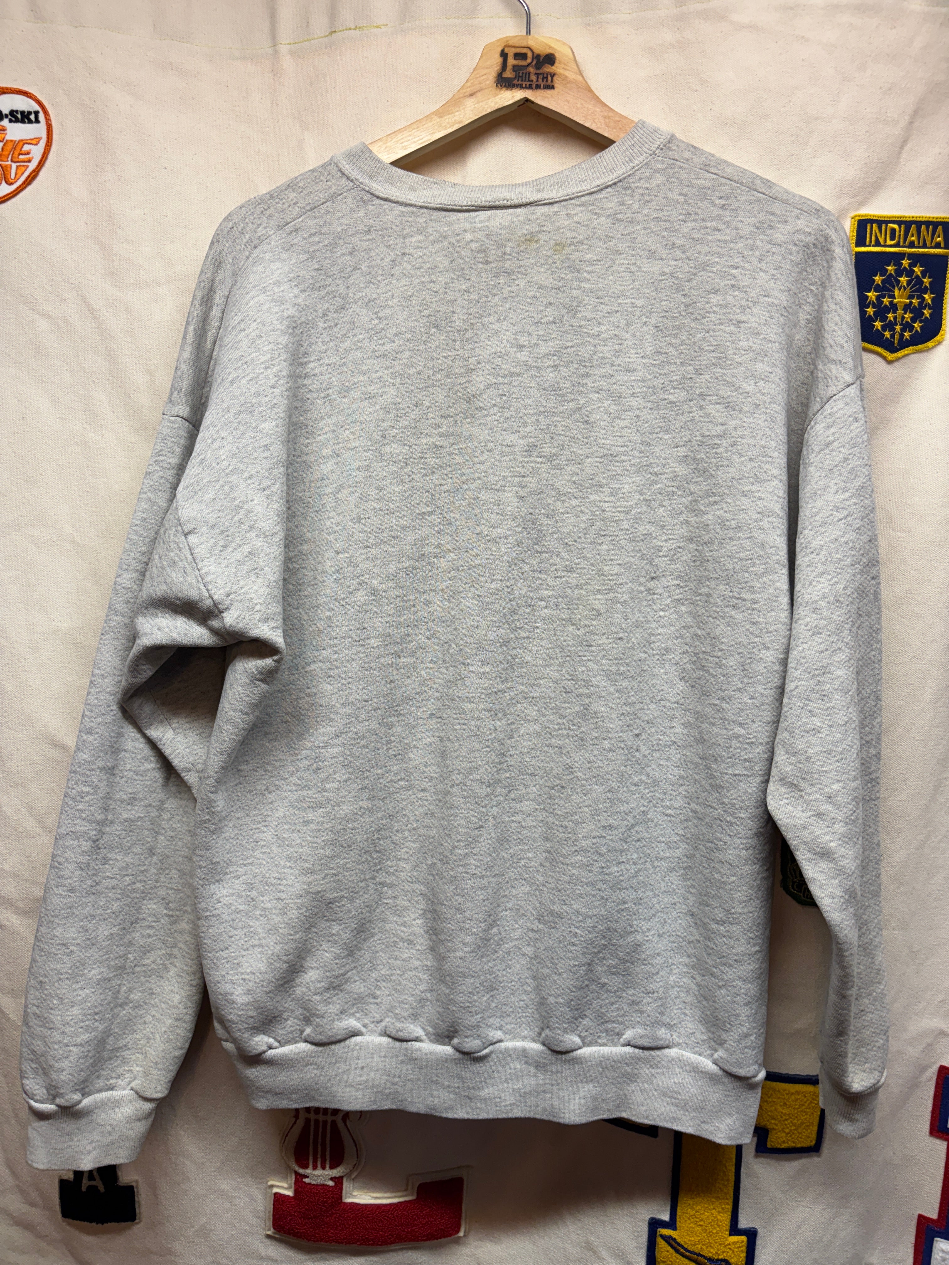 Vtg Charlotte Hornets Taz Looney Tunes NBA Crewneck Sweatshirt: XL