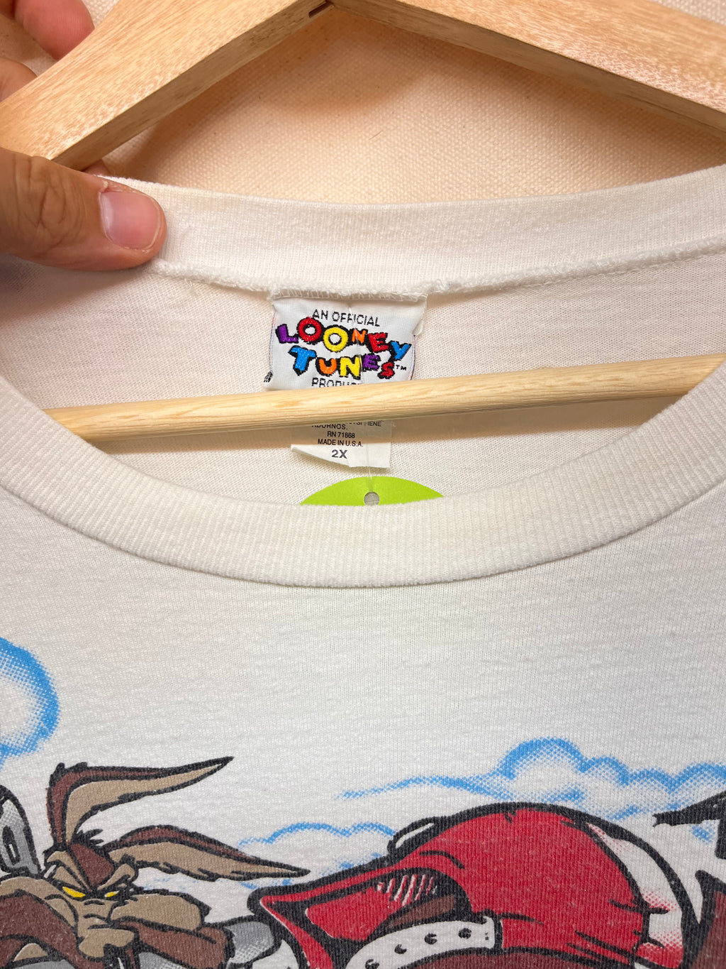 Vintage Looney Tunes FREEZE All Over Print Hangin' In The Heartland Taz T-Shirt: 2XL