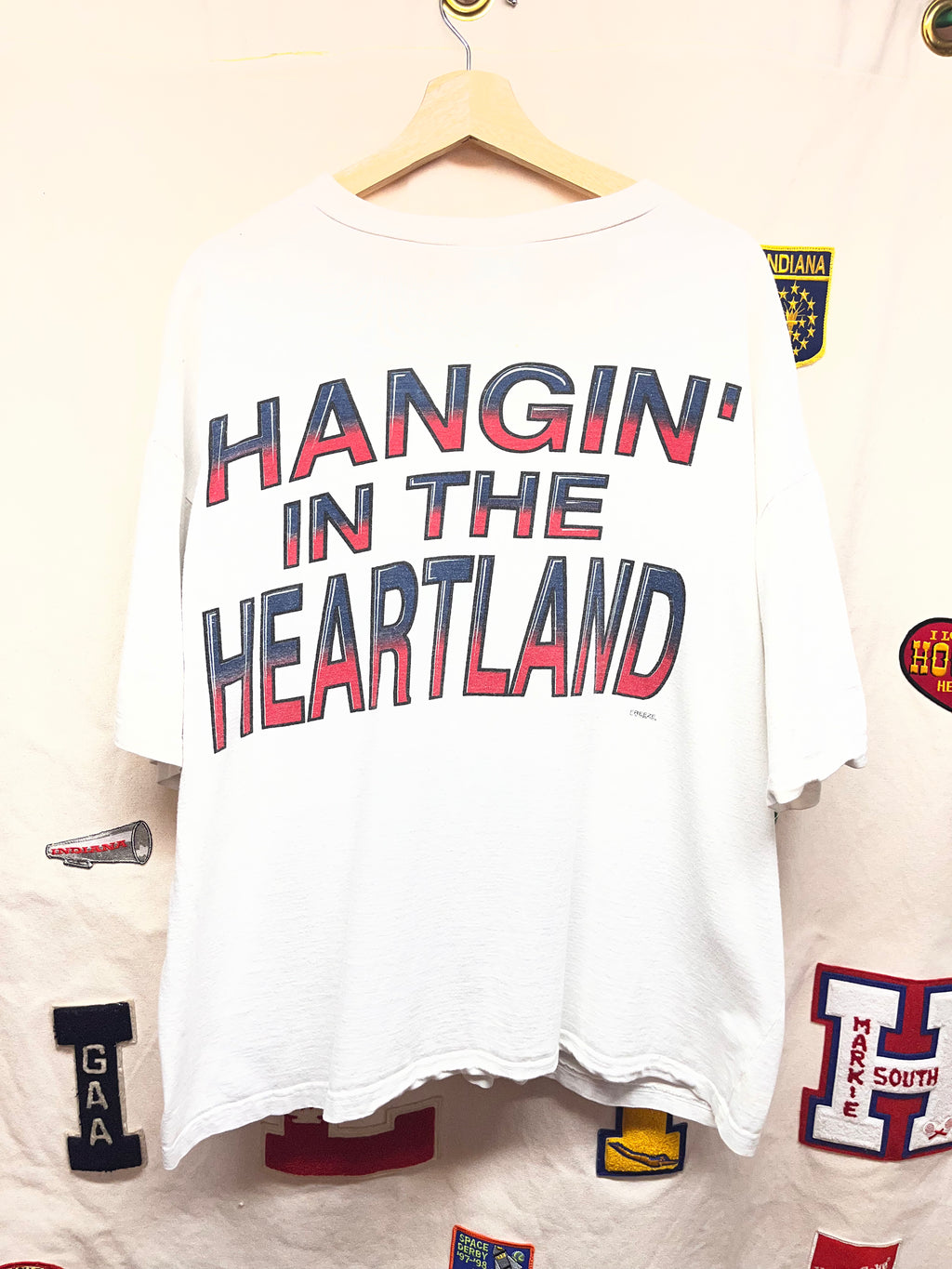 Vintage Looney Tunes FREEZE All Over Print Hangin' In The Heartland Taz T-Shirt: 2XL