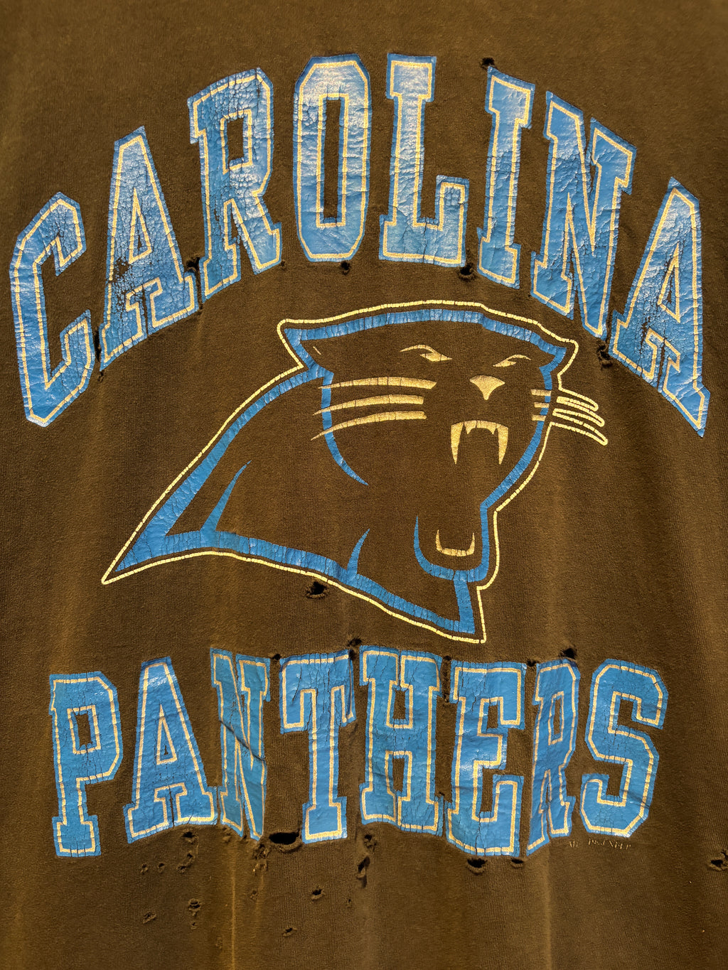 Vintage Black Carolina Panthers T-Shirt: Large