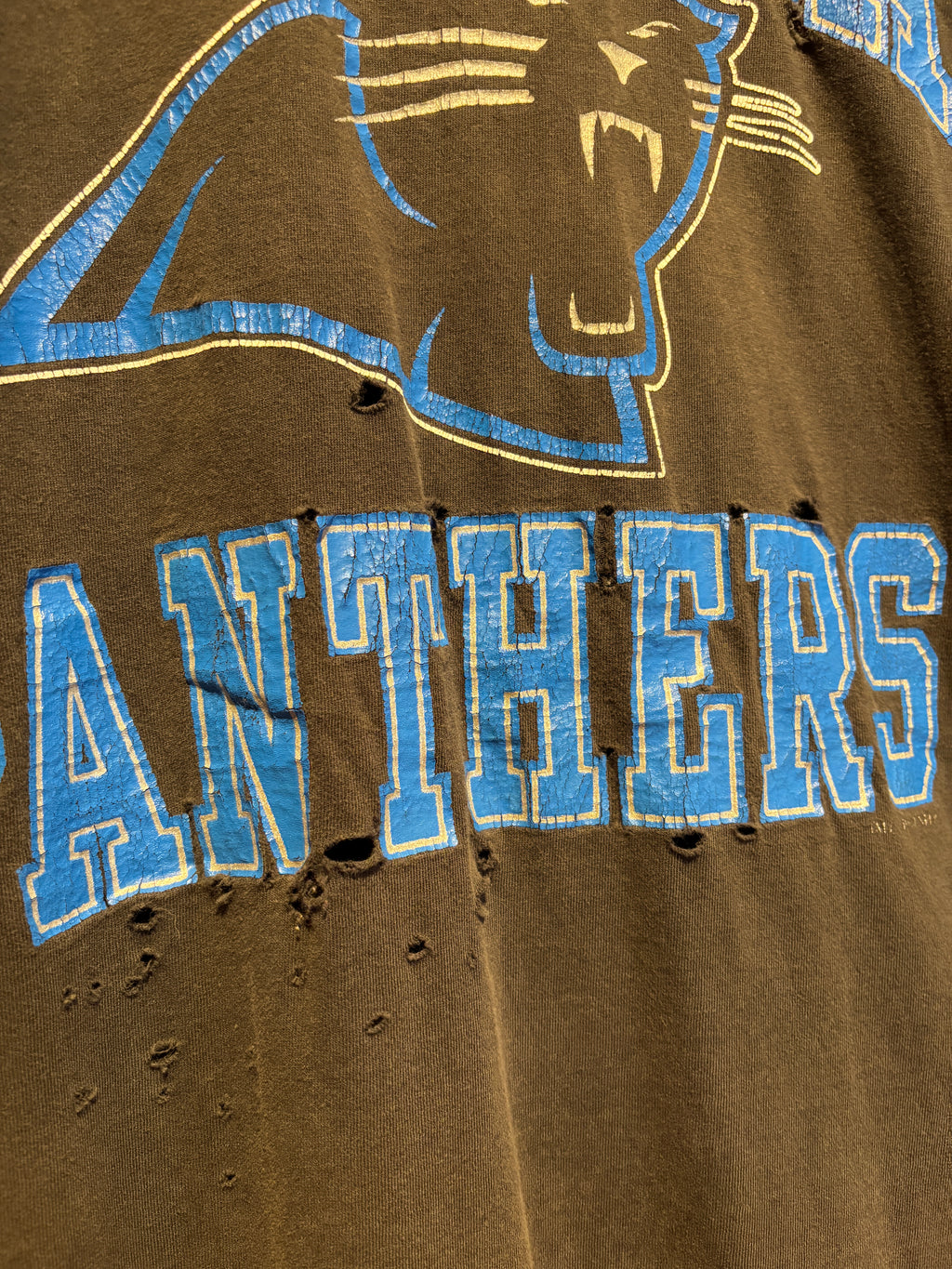 Vintage Black Carolina Panthers T-Shirt: Large
