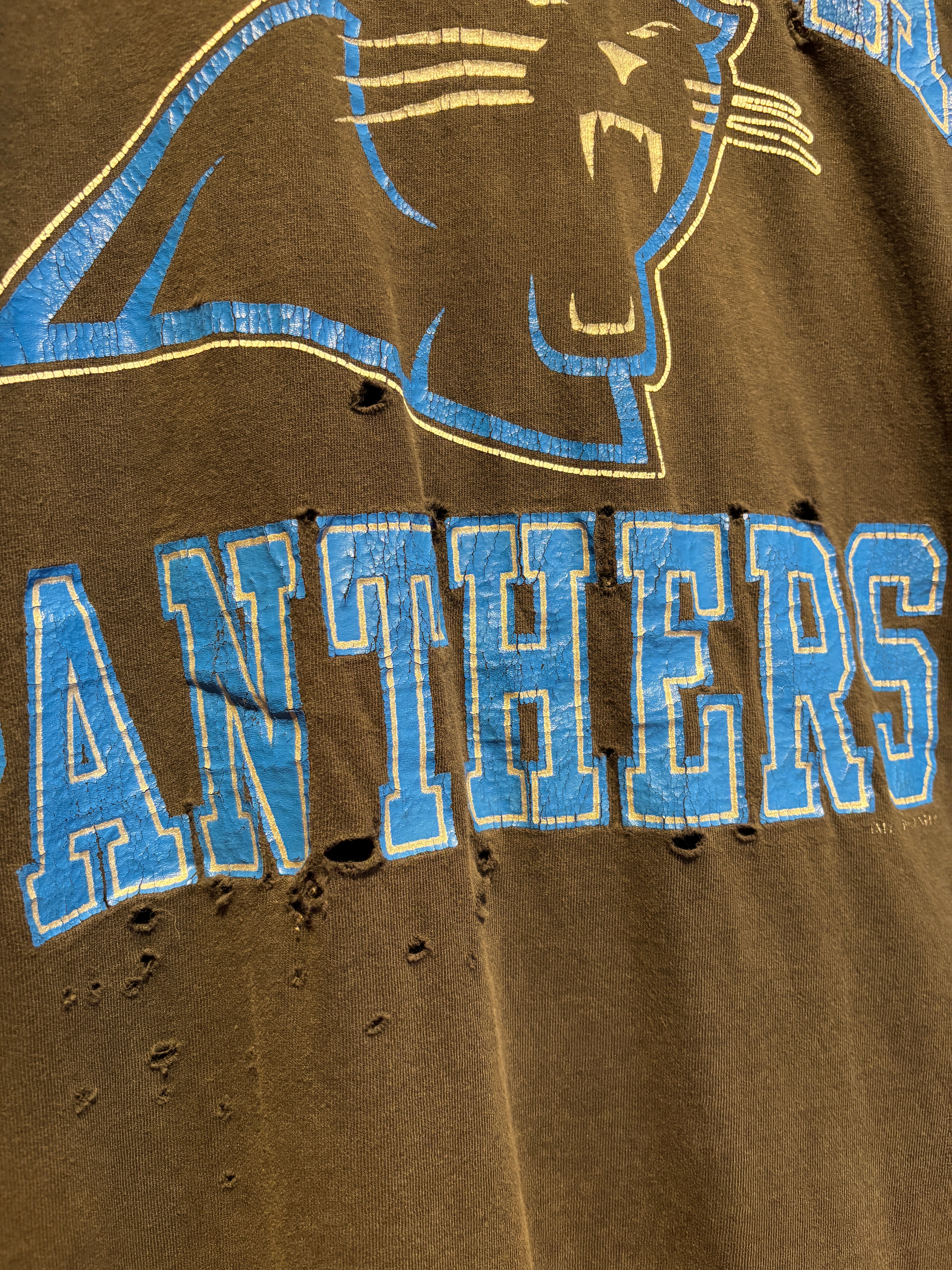 Vintage Black Carolina Panthers T-Shirt: Large