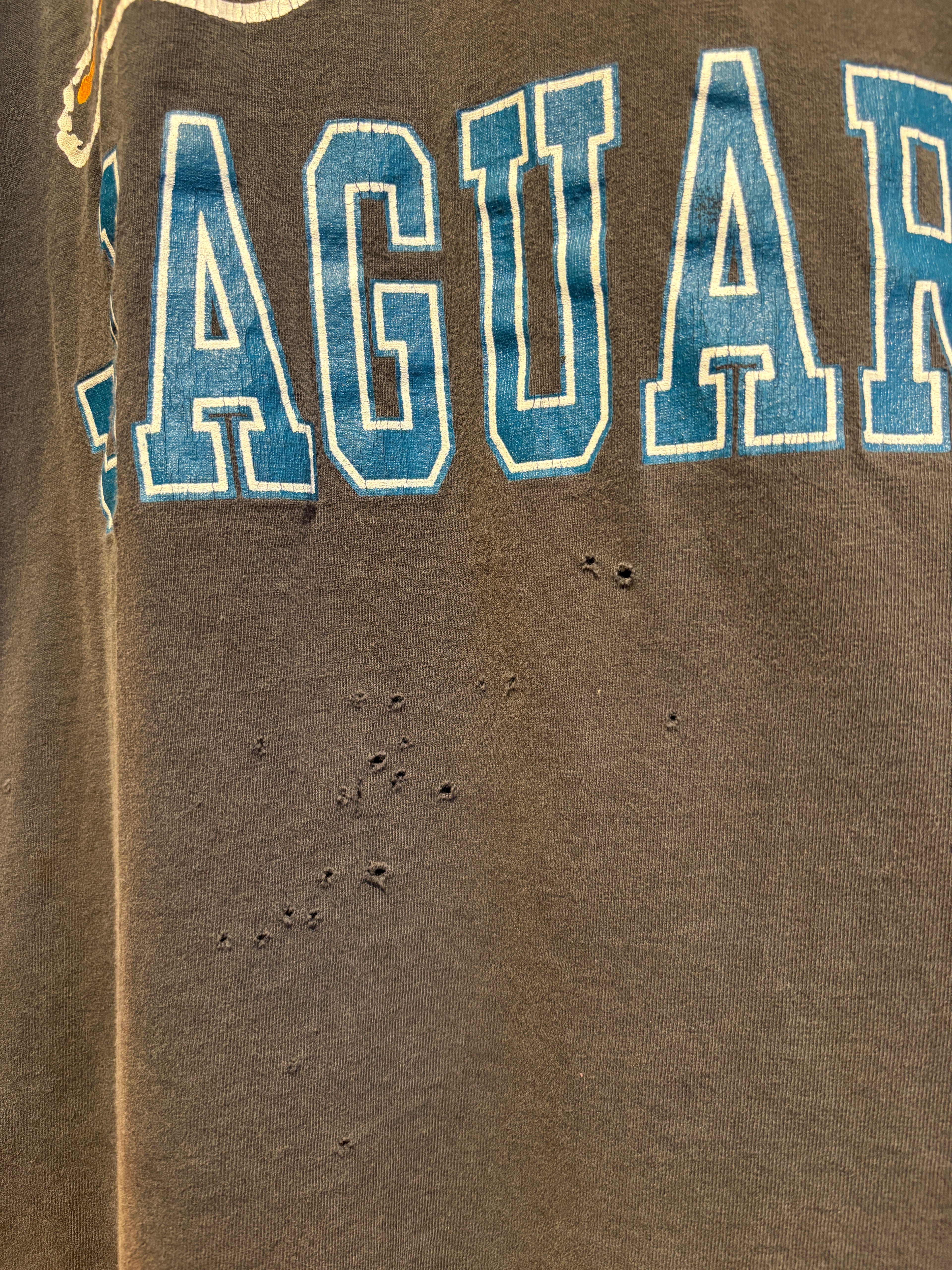 Vintage Black Carolina Panthers T-Shirt: Large