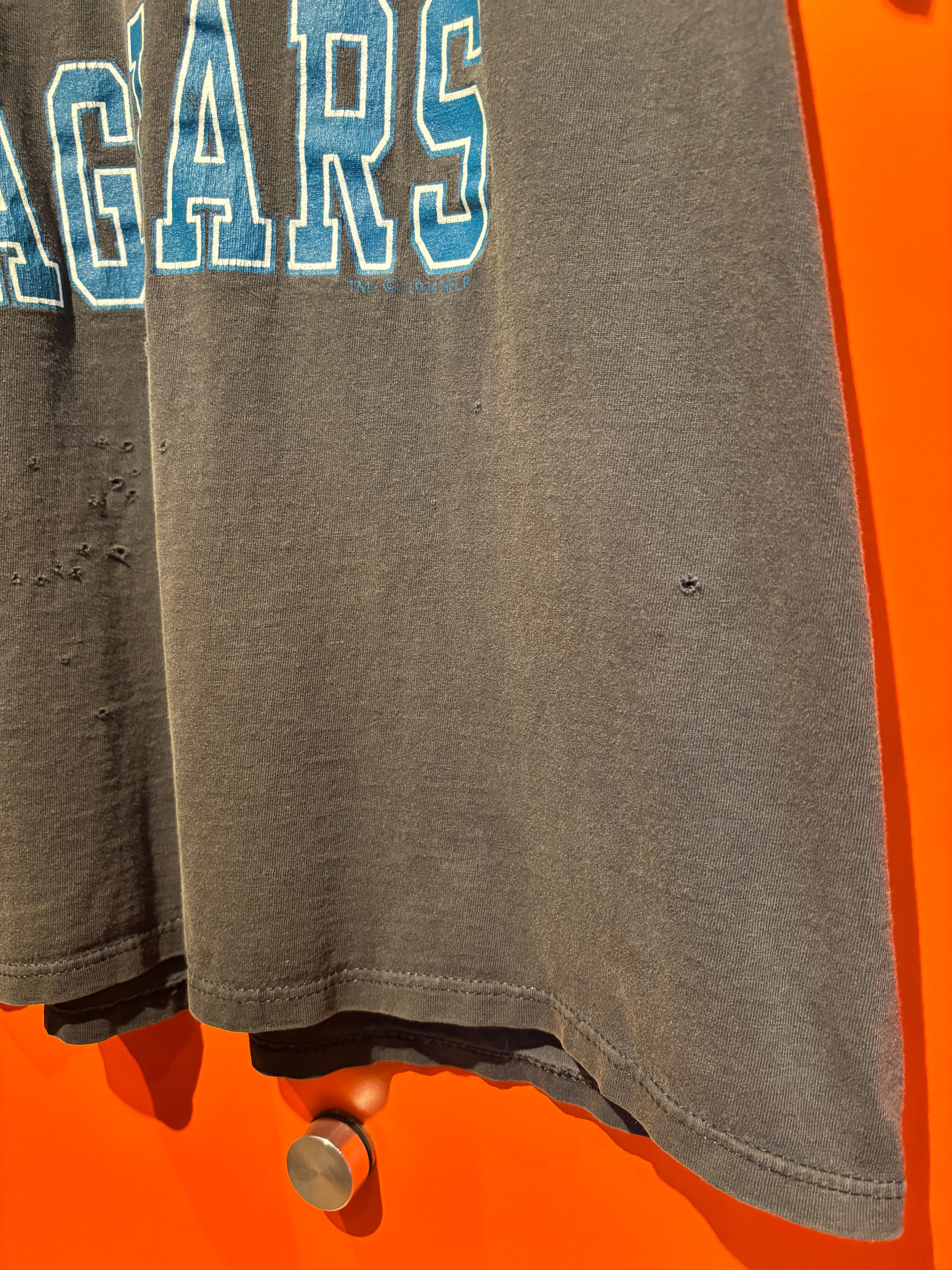 Vintage Black Carolina Panthers T-Shirt: Large