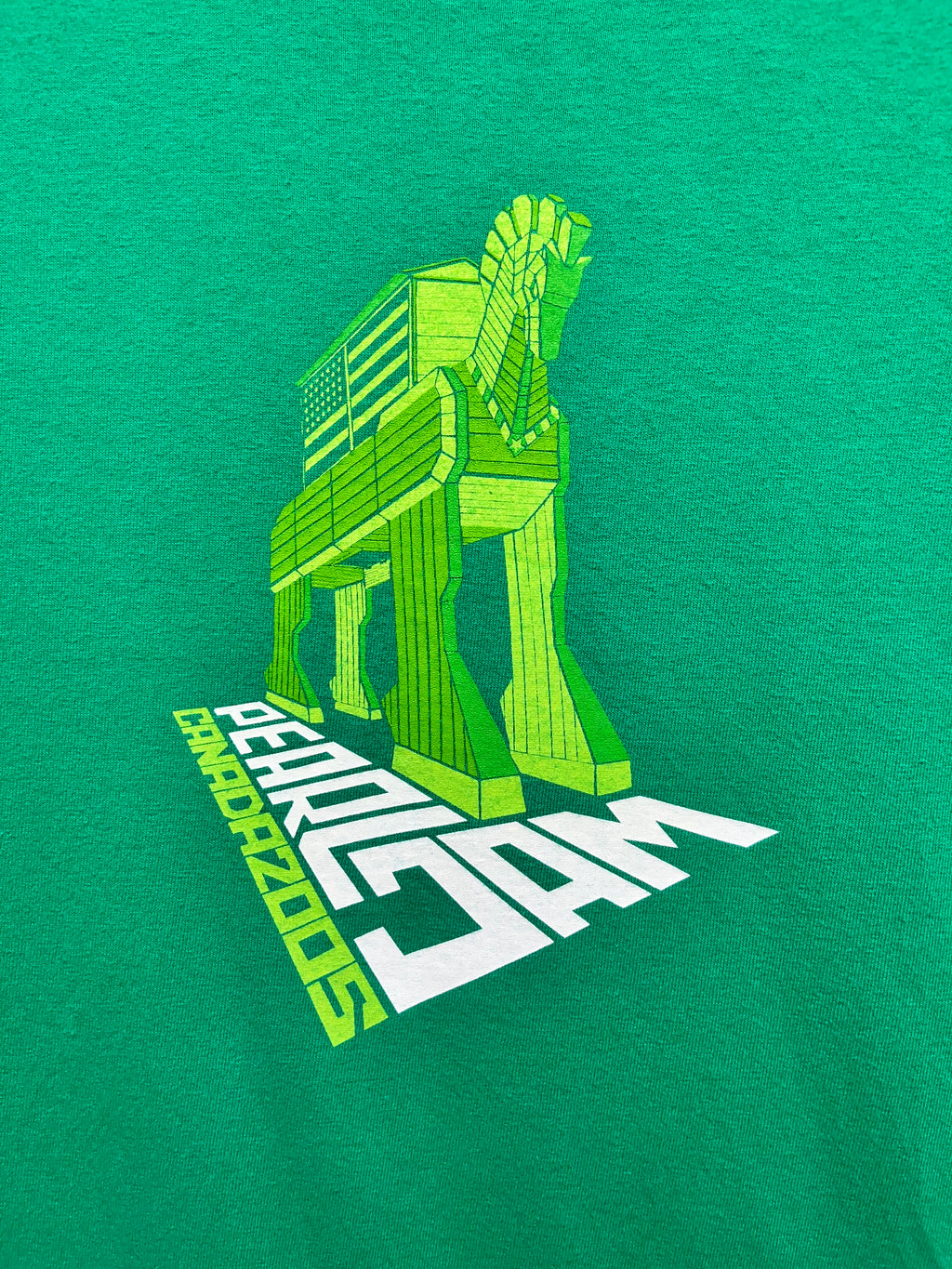 Vintage Pearl Jam Canada 2005 Green Concert Tour T-Shirt: Medium