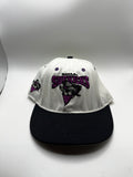 Vintage Dallas Sidekicks Soccer Team MASL White Snapback Hat