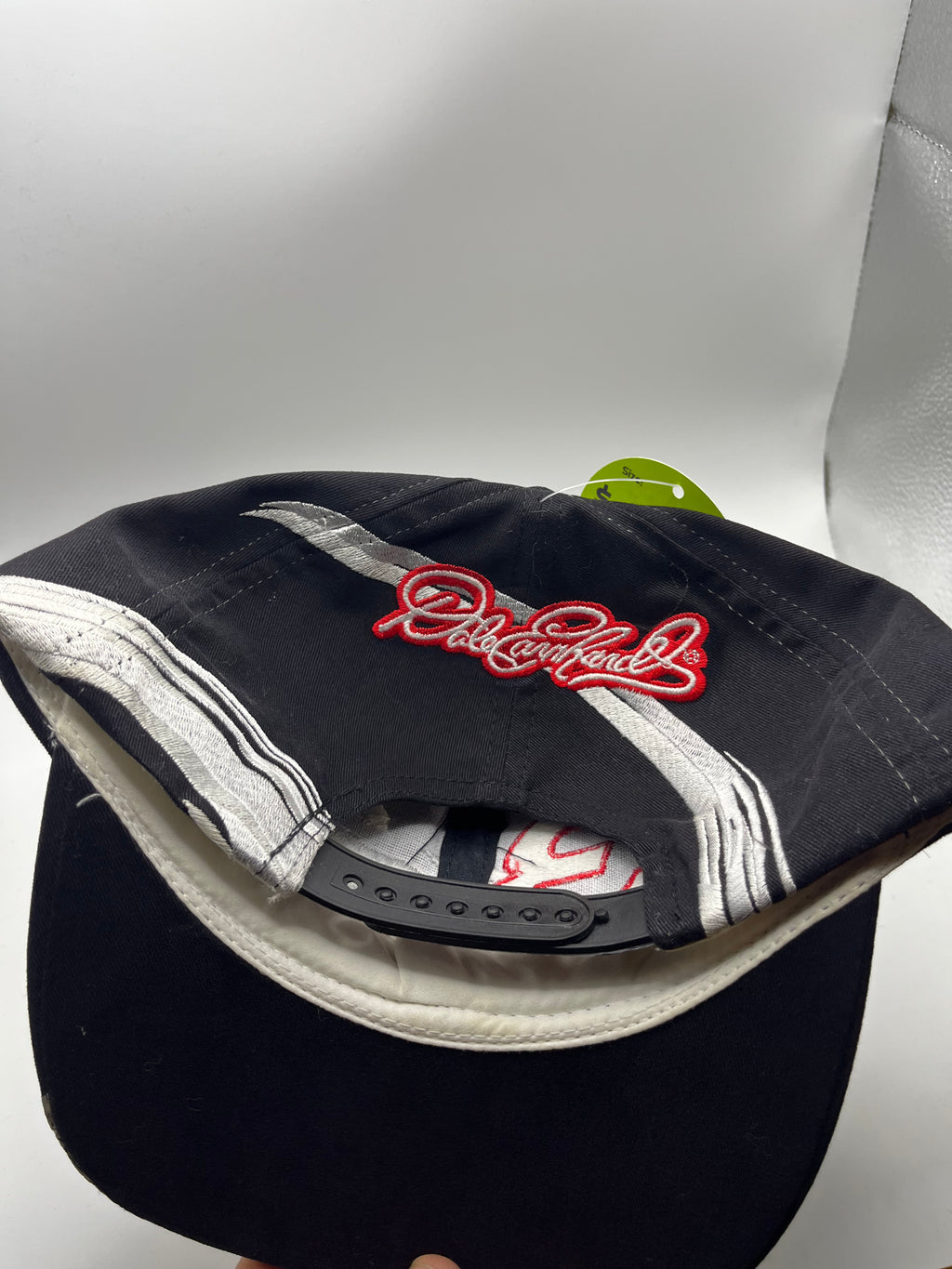 Vintage Dale Earnhardt Sr. 3 NASCAR Racing Chase Swirl Embroidered Snapback Hat