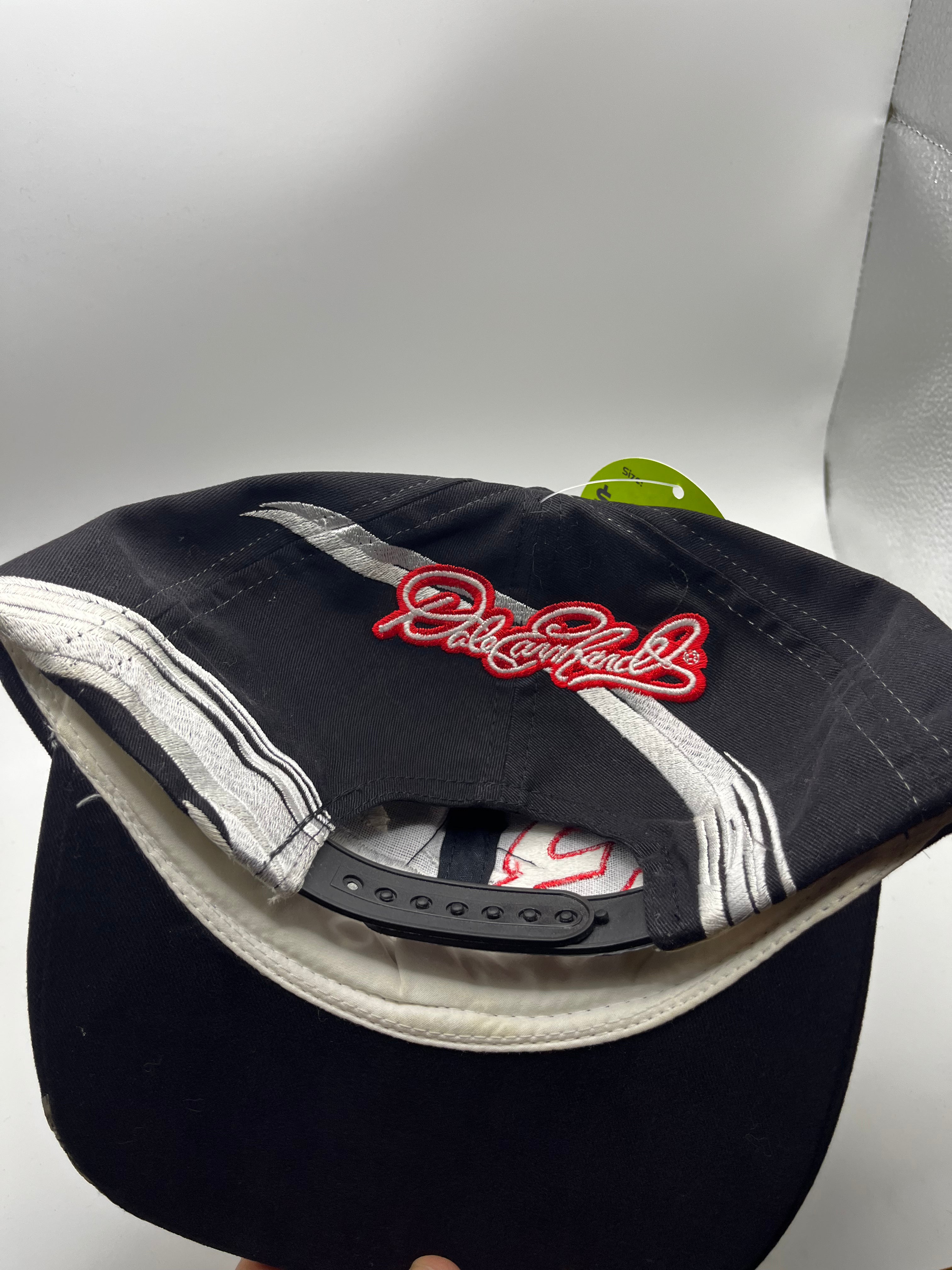 Vintage Dale Earnhardt Sr. 3 NASCAR Racing Chase Swirl Embroidered Snapback Hat