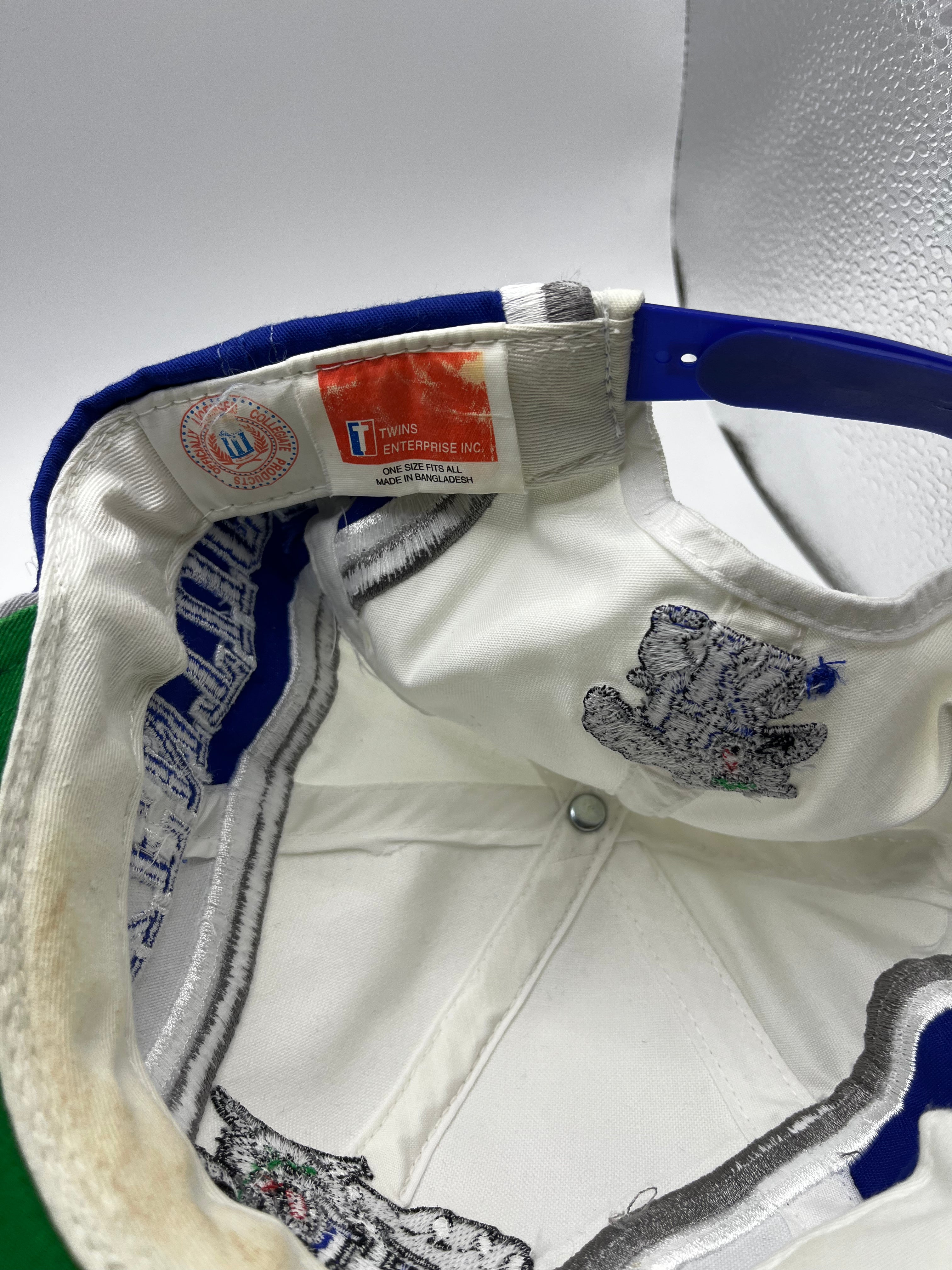 Vintage 90s Kentucky Wildcats UK NCAA Twins Enterprise Snapback Hat