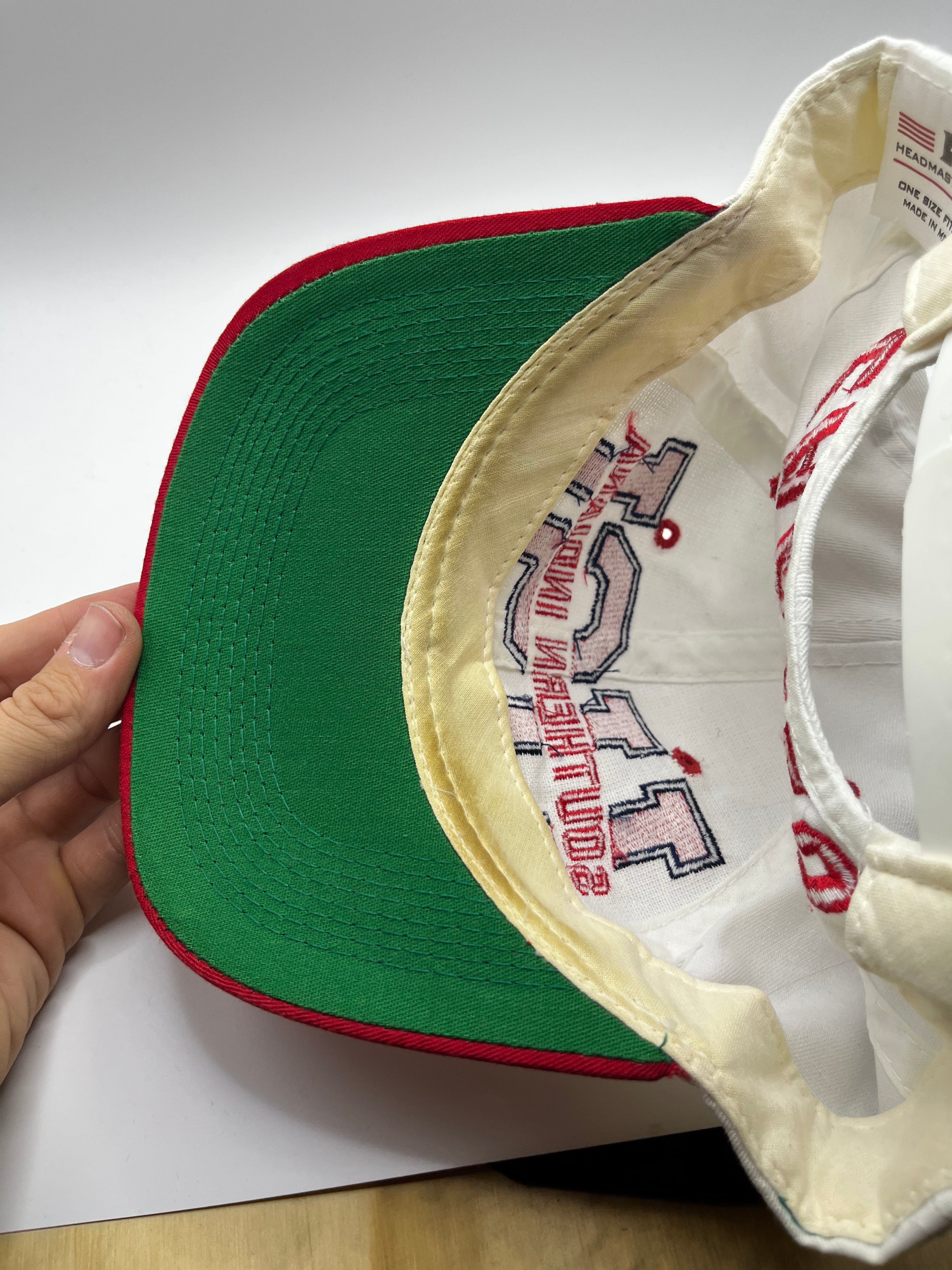 Vintage USI Southern Indiana Eagles Evansville 90s Snapback Hat