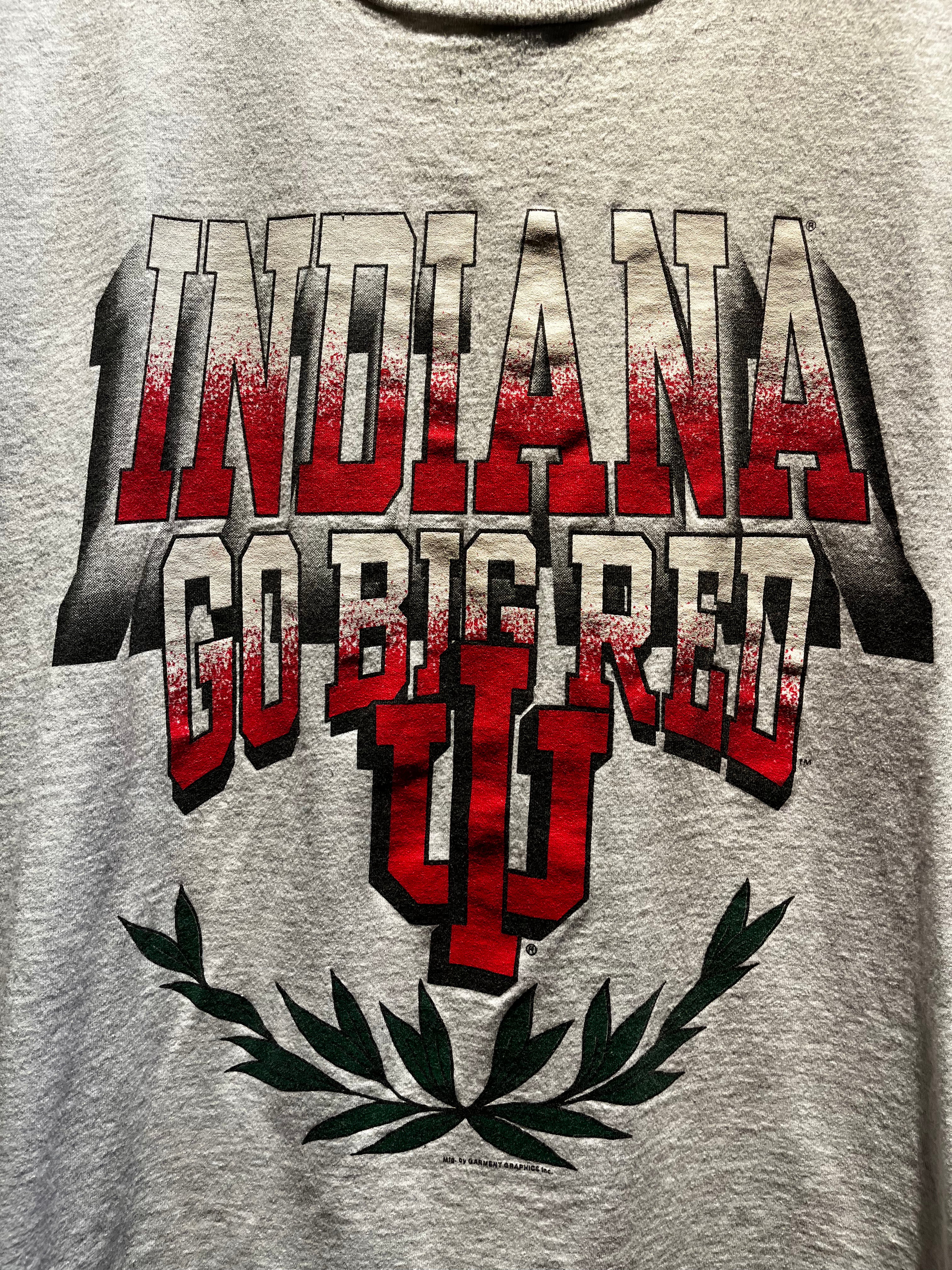 Vintage Indiana University IU Go Big Red Grey T-Shirt: Large