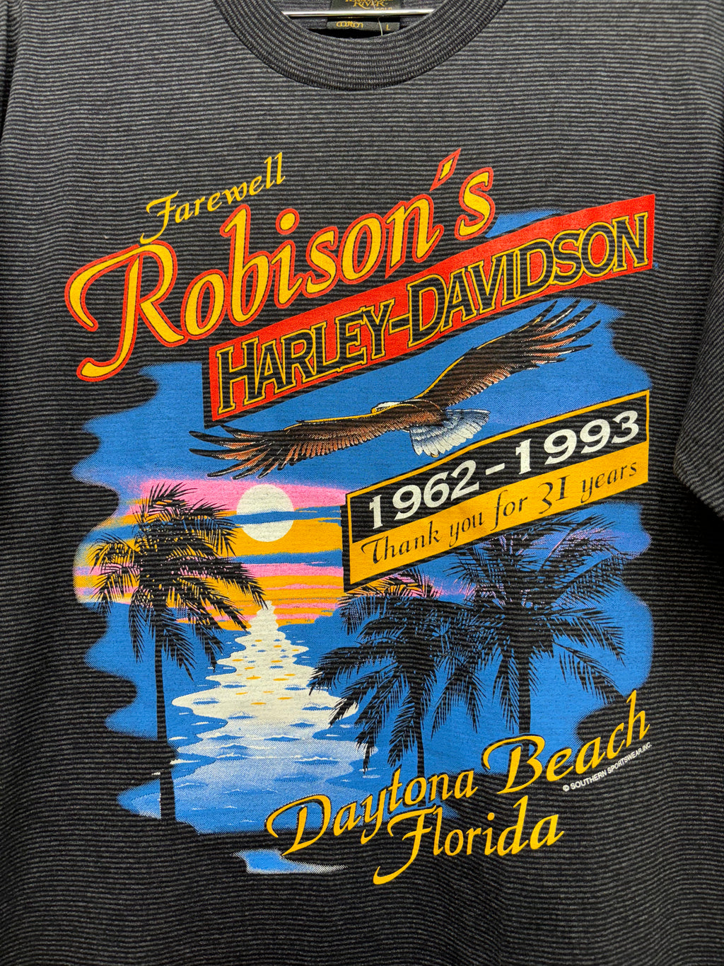 Vintage Striped Harley Davidson 1993 Daytona Beach Robison Florida Tennessee River T-Shirt: Large