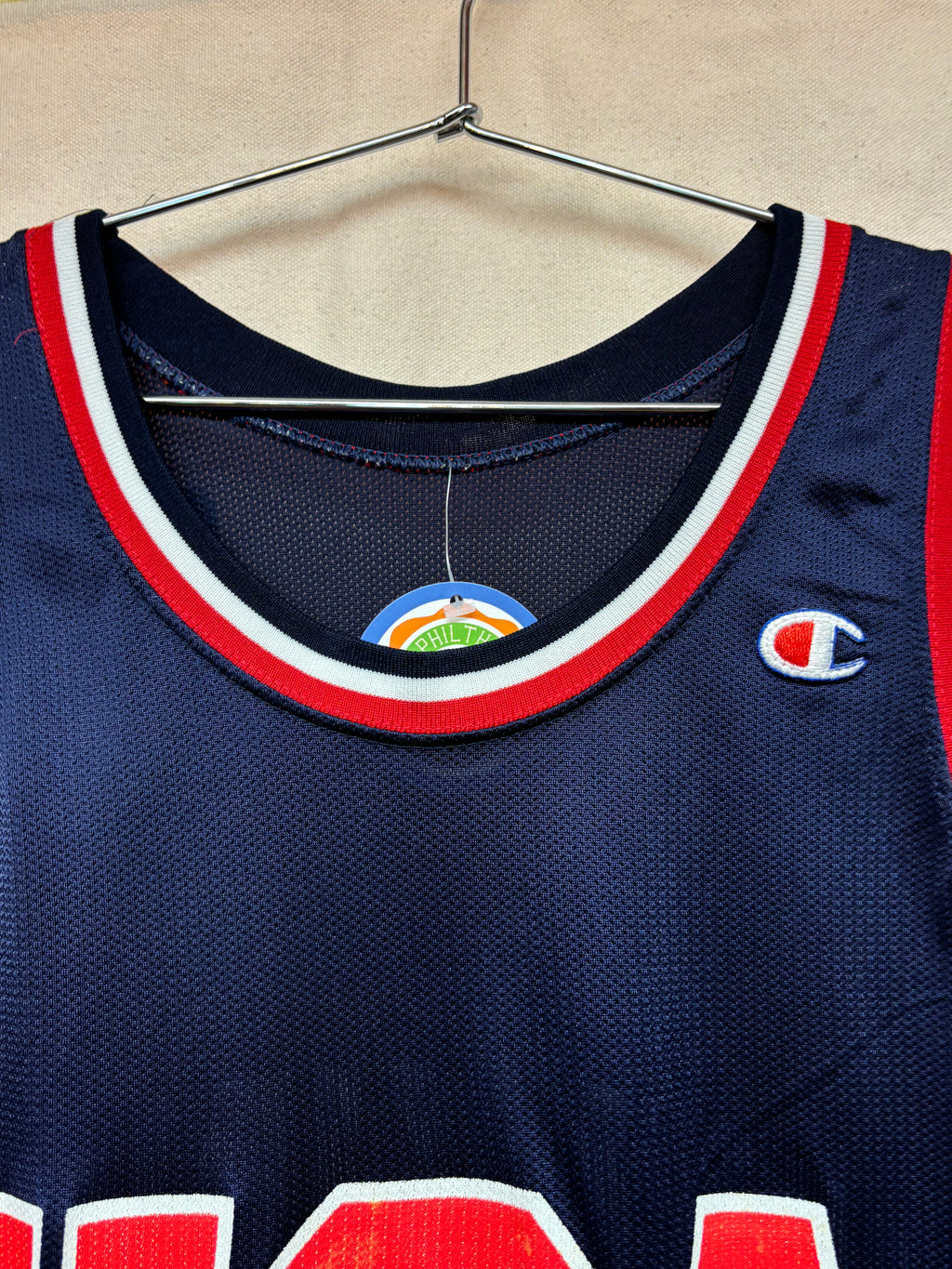 Vintage USA Basketball Olympics Dominique Wilkins Dream Team Champion Basketball Jersey: Large