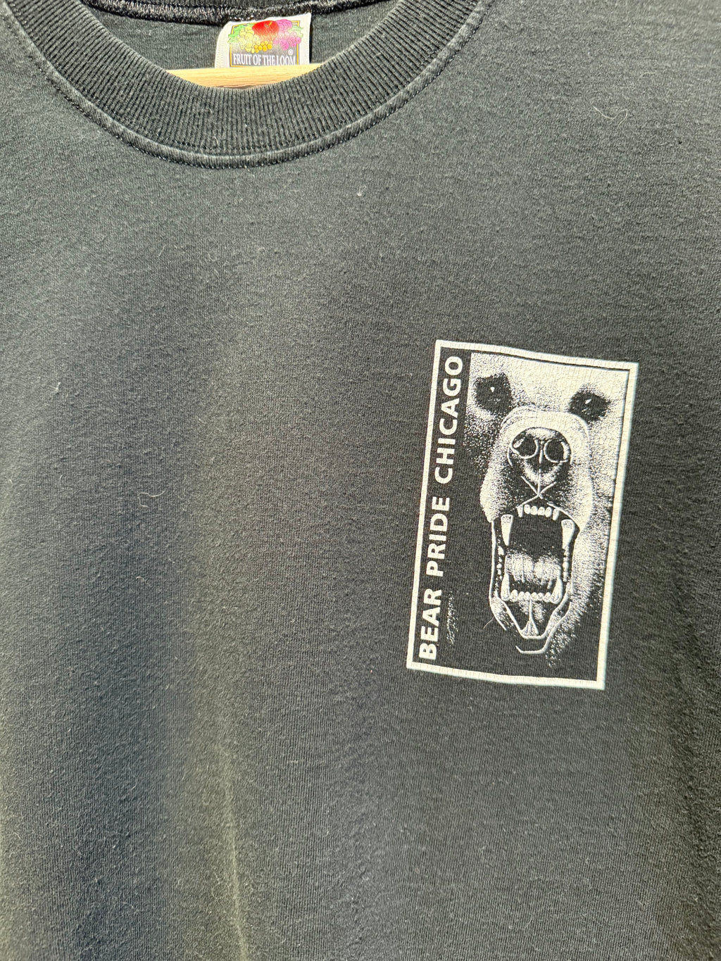 Vintage Bear Pride Chicago T-Shirt: Medium