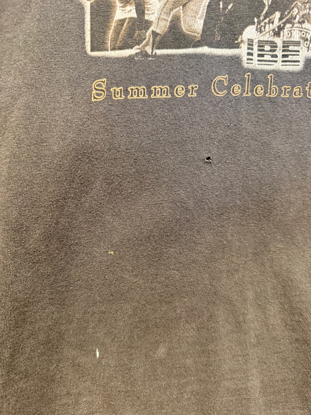 Vintage 2002 Indiana Black History Summer Celebration T-Shirt: XXXL