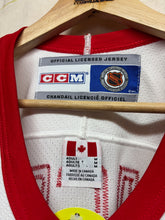 Load image into Gallery viewer, Vintage Detroit Red Wings Dominik Hasek Hockey Jersey: M
