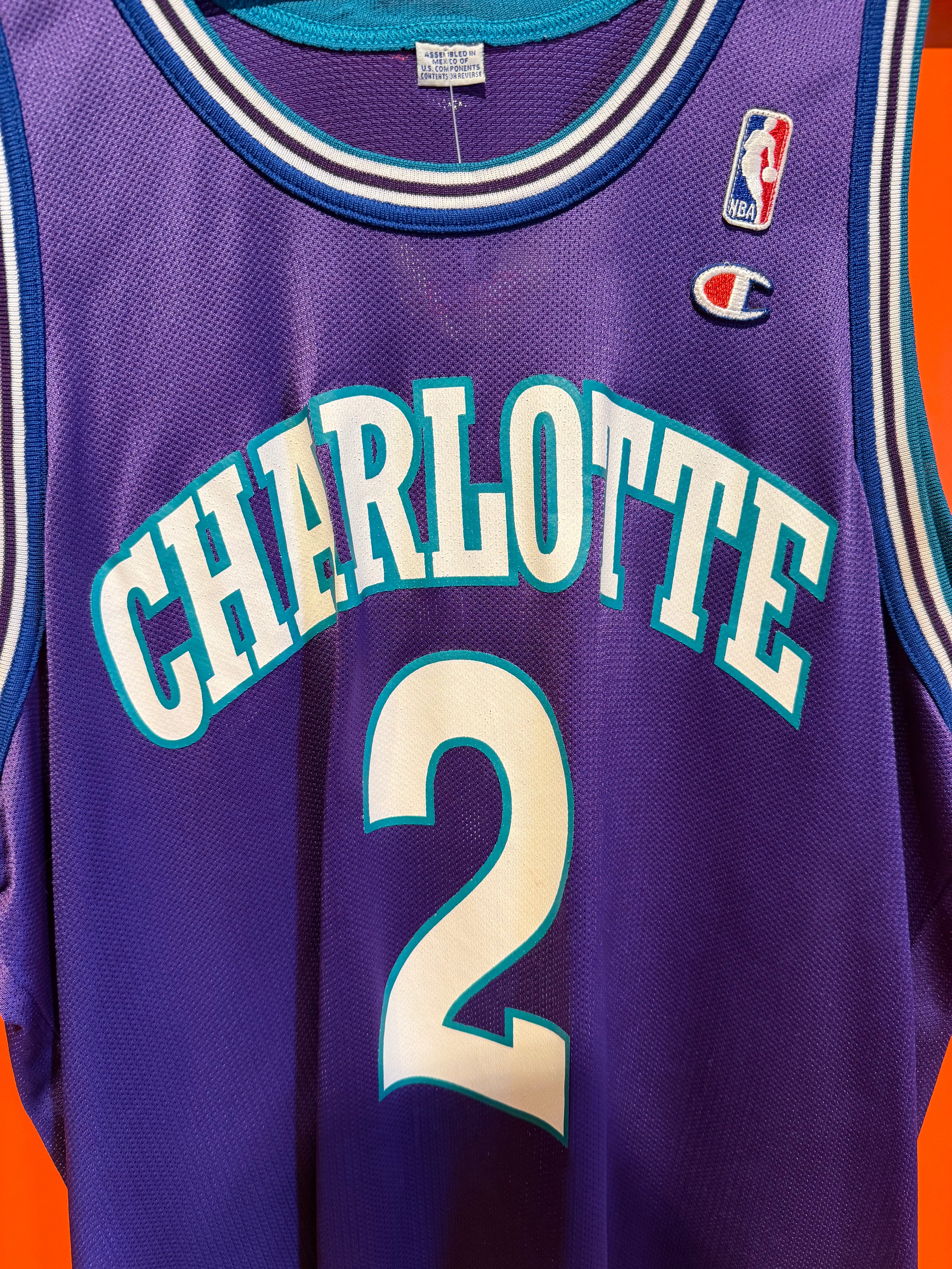 VIntage Charlotte Hornets Larry Johnson Purple NBA Champion Basketball Jersey: XL