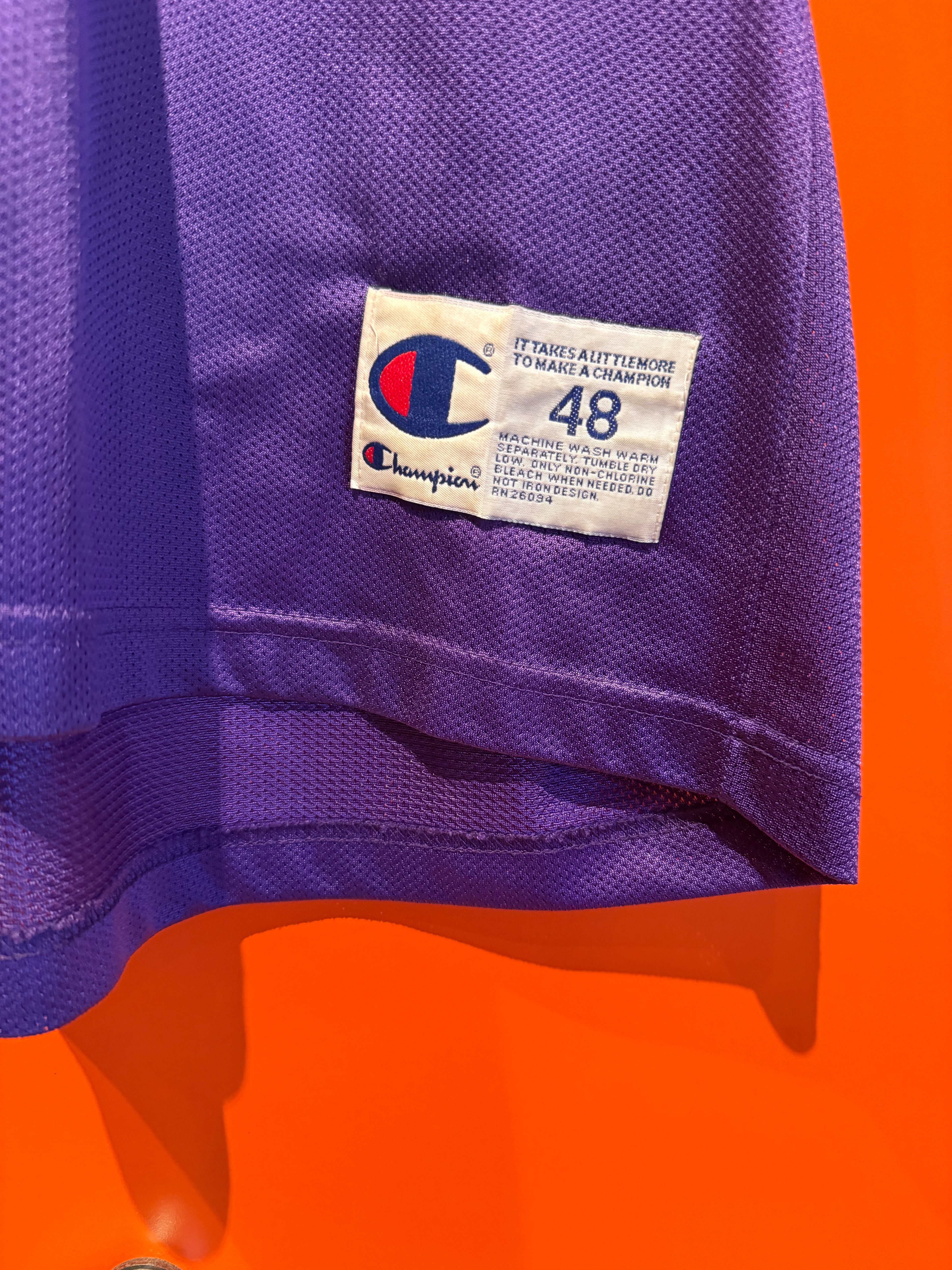 VIntage Charlotte Hornets Larry Johnson Purple NBA Champion Basketball Jersey: XL