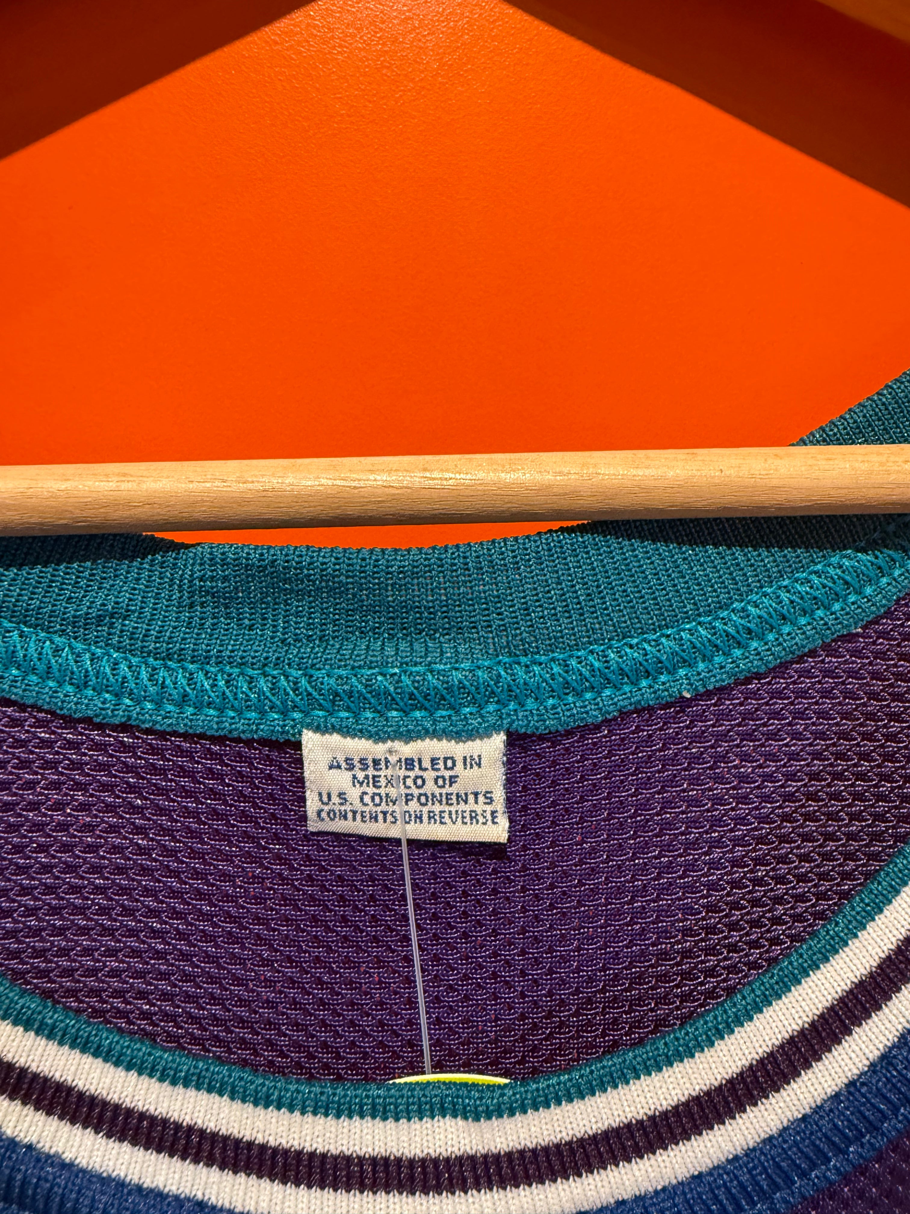 VIntage Charlotte Hornets Larry Johnson Purple NBA Champion Basketball Jersey: XL