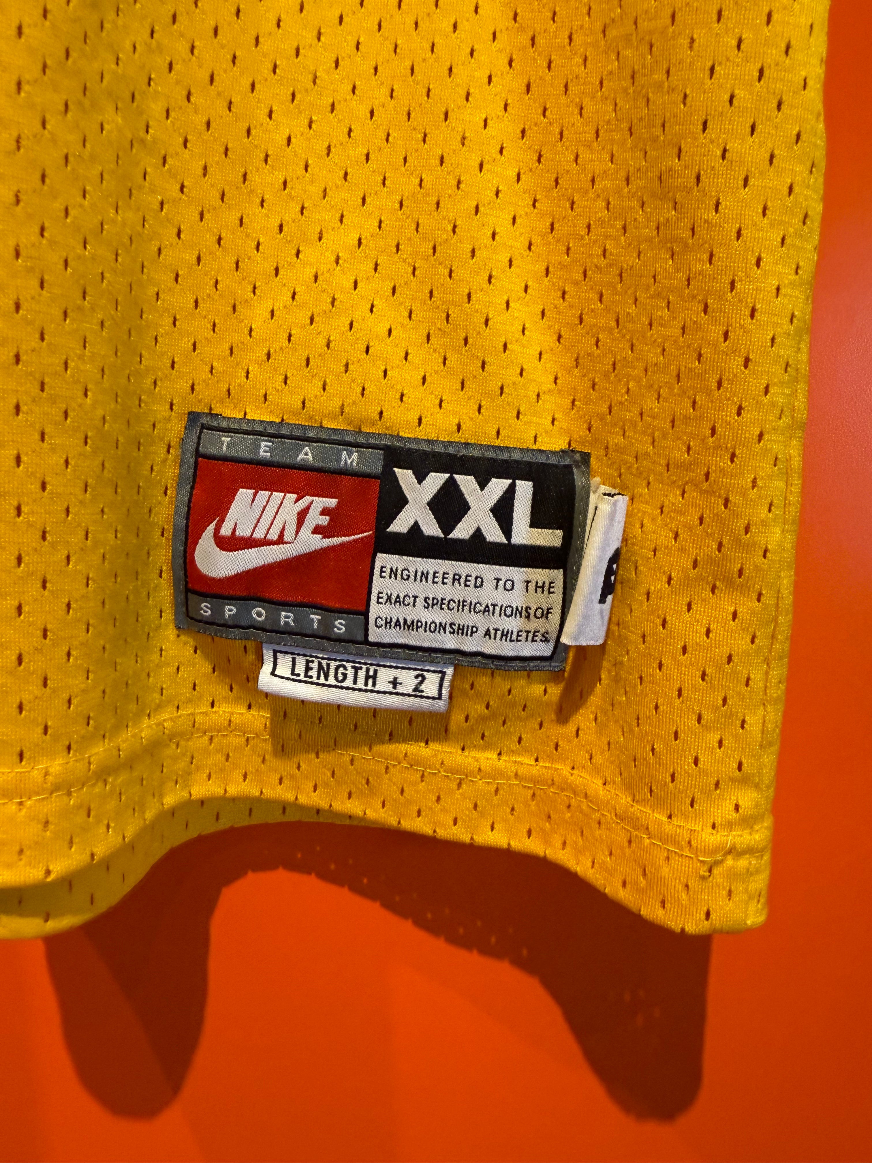 Vintage Denver Nuggets Carmelo Anthony NBA Nike Basketball Jersey: XXL