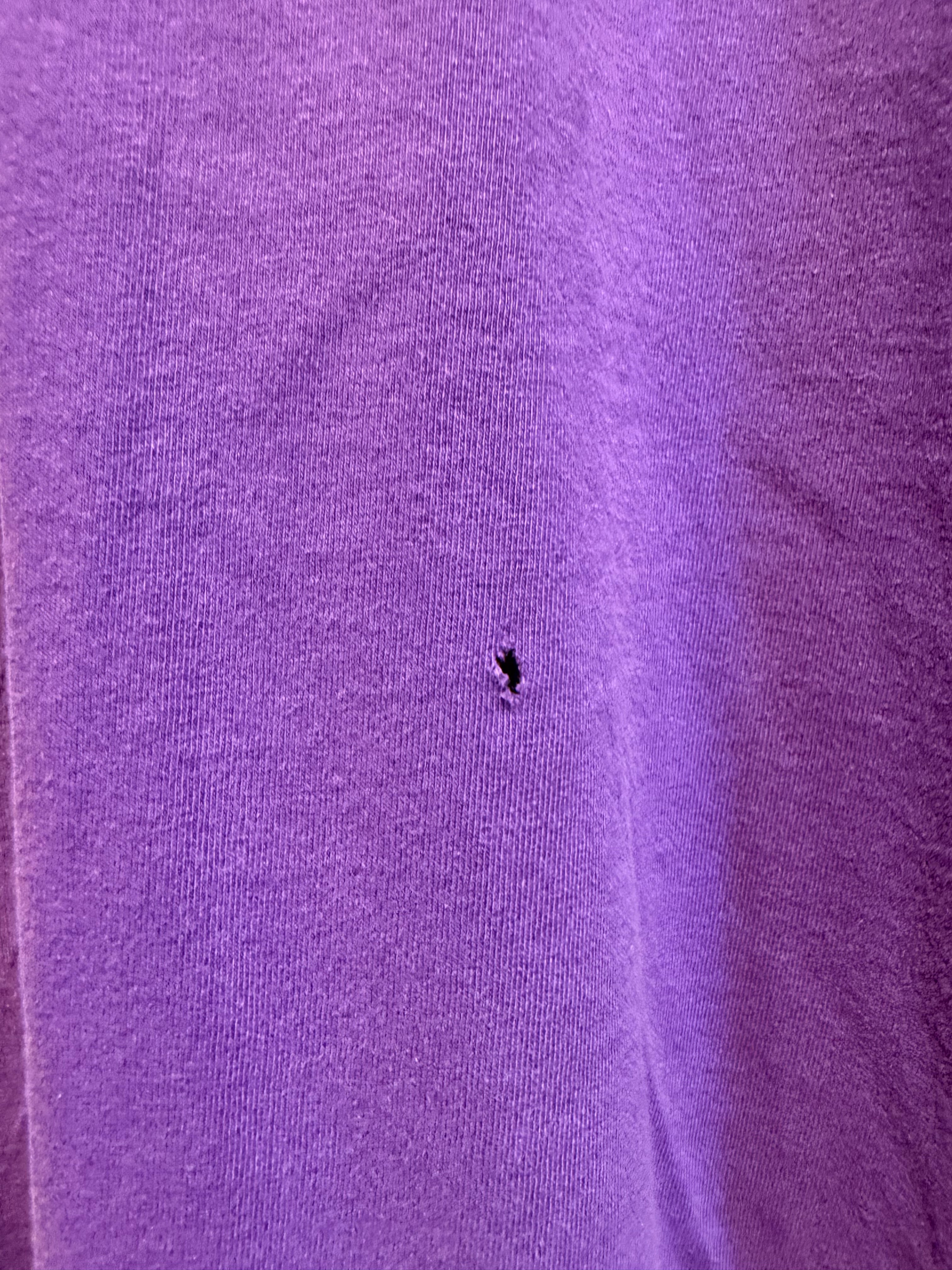 Vintage Minnesota Vikings Purple Embroidered T-Shirt: Large