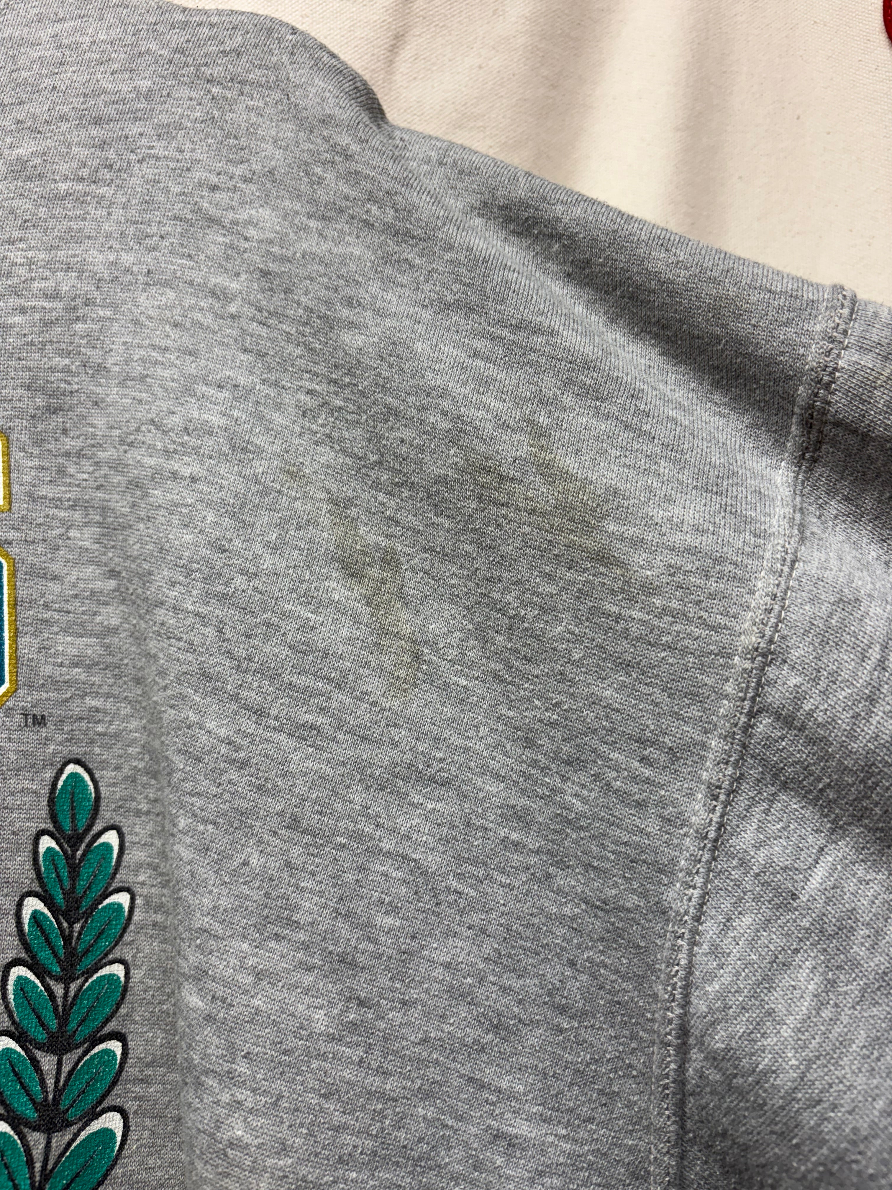 Vtg Jacksonville Jaguars Looney Tunes 1993 NFL Grey Hoodie Sweatshirt: XL