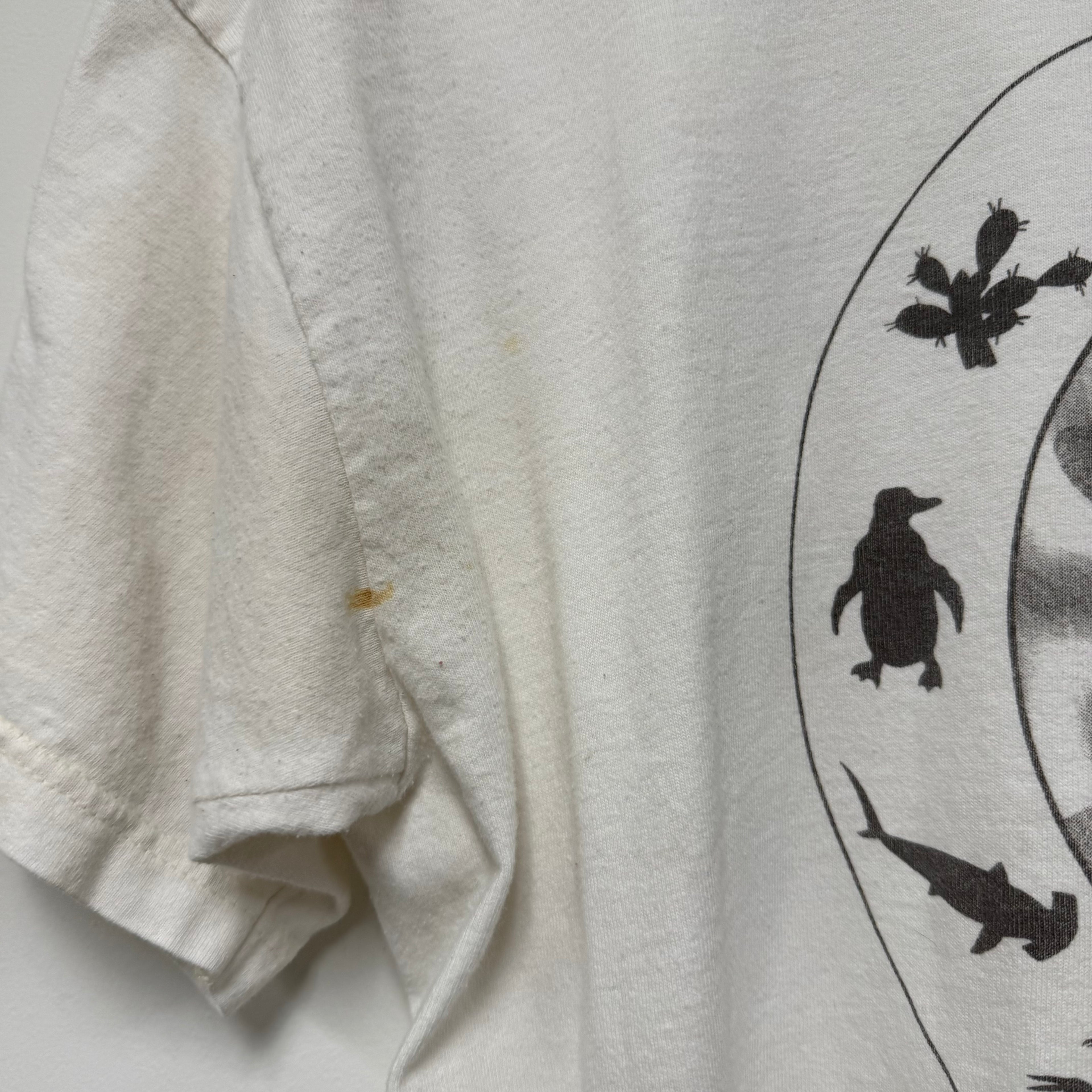 Vintage Charles Darwin Evolution T-Shirt: L
