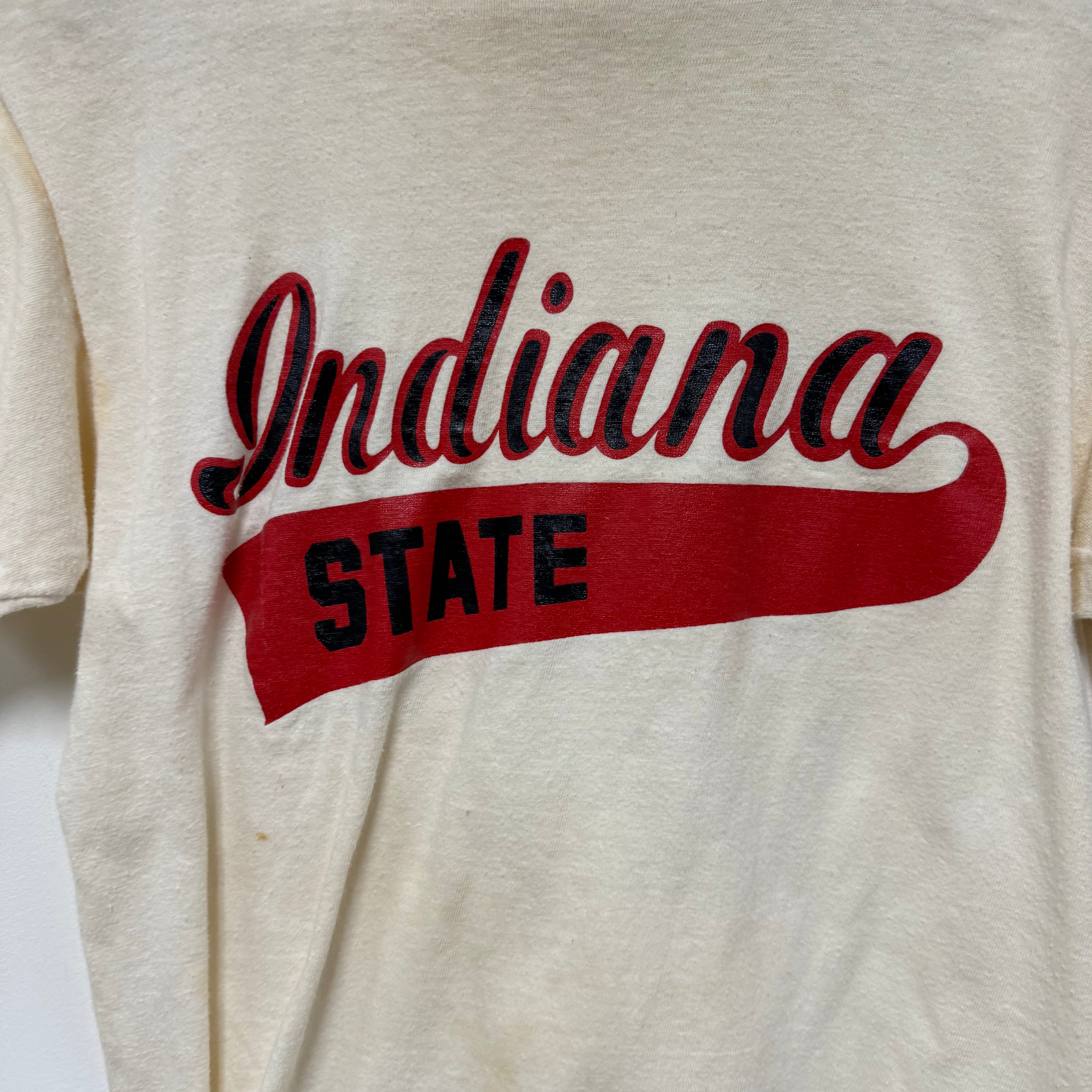 Vintage Indiana State T-Shirt: M