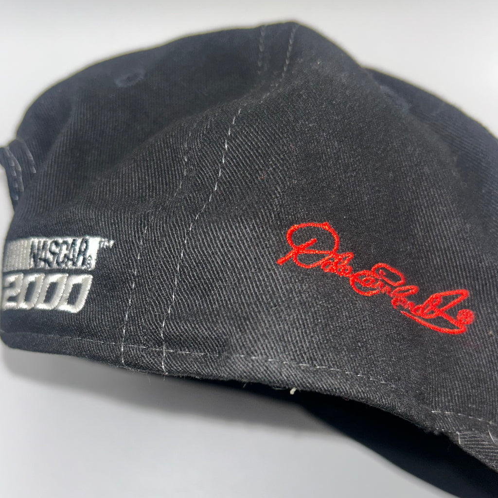 Vintage Taz Dale Earnhardt 3 NASCAR Tasmanian Devil Snapback Hat