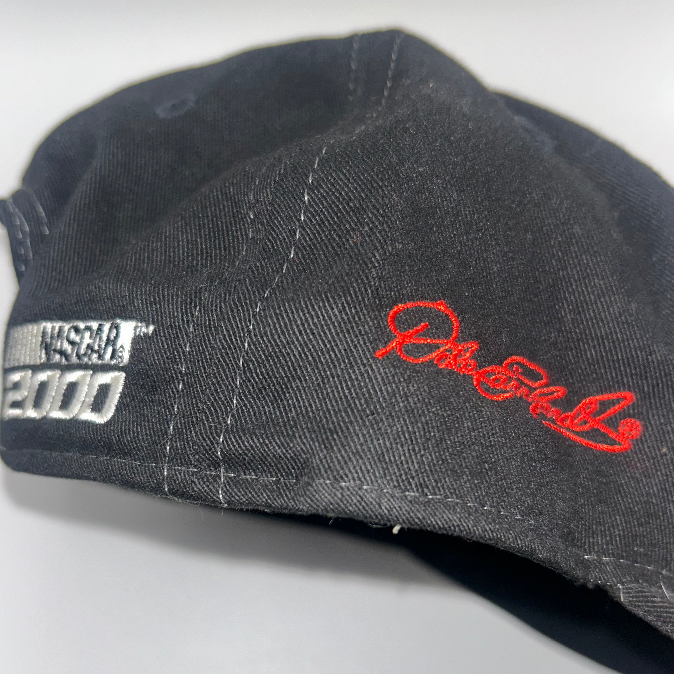 Vintage Taz Dale Earnhardt 3 NASCAR Tasmanian Devil Snapback Hat