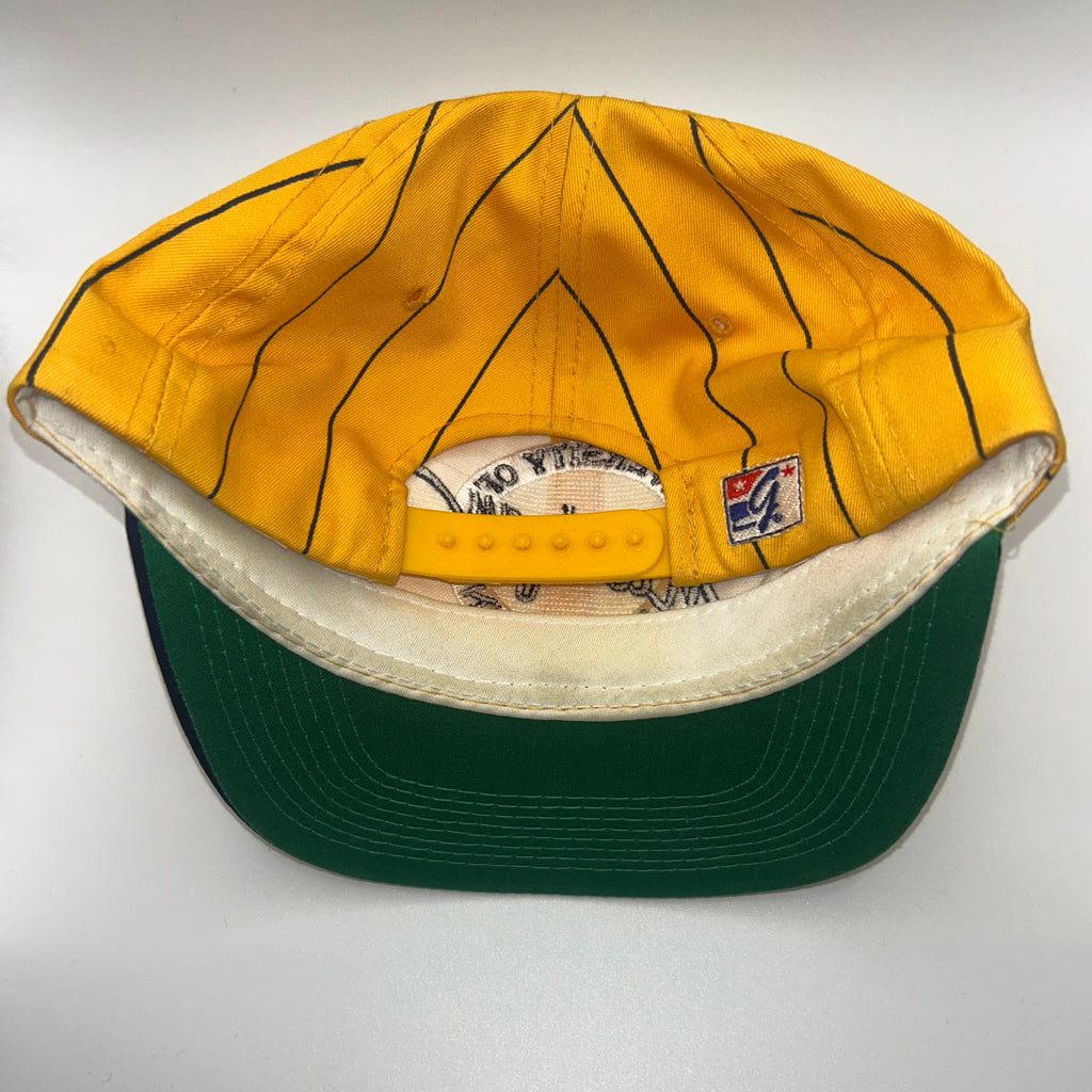 Vintage Michigan University Wolverines Pinstripe The Game Snapback Hat