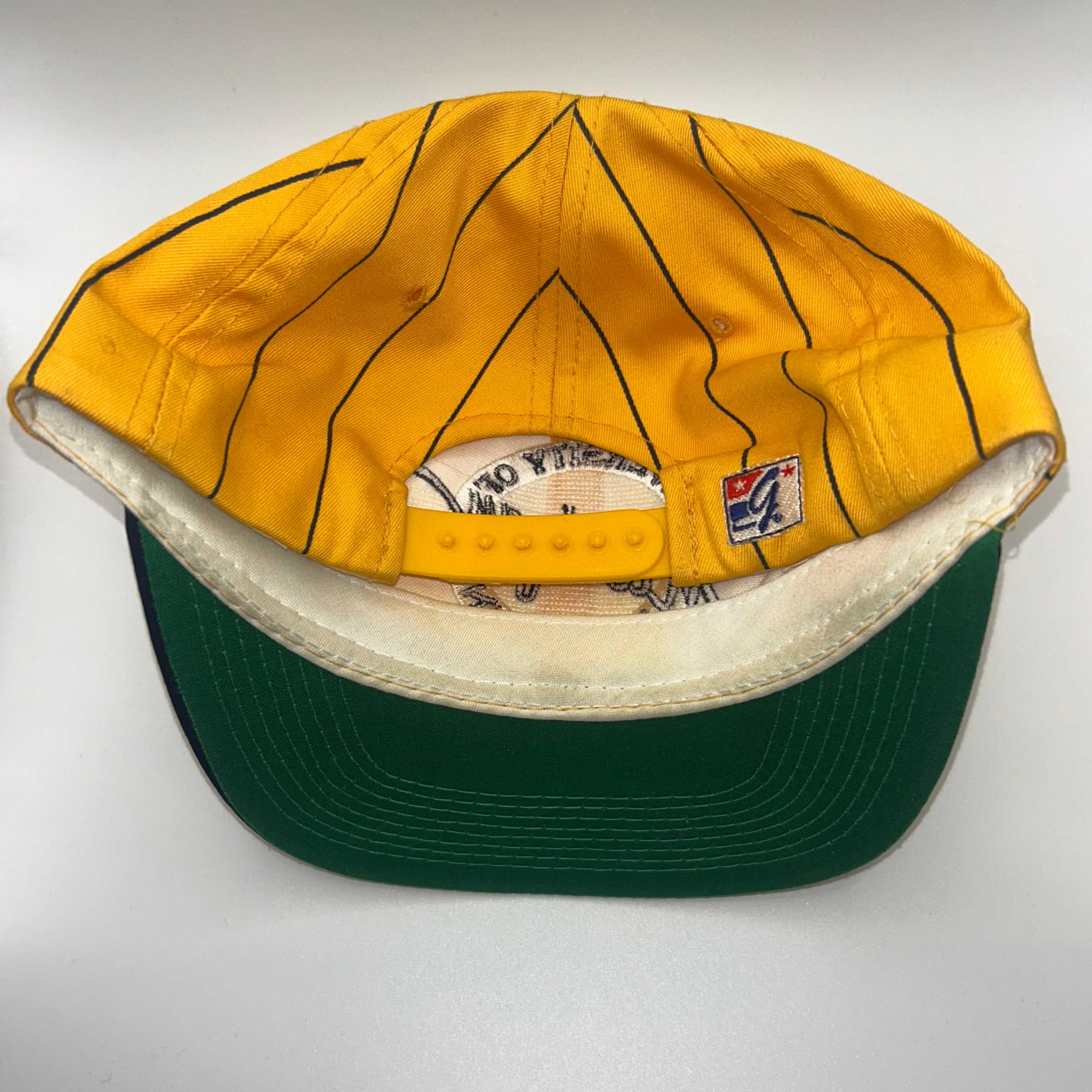 Vintage Michigan University Wolverines Pinstripe The Game Snapback Hat