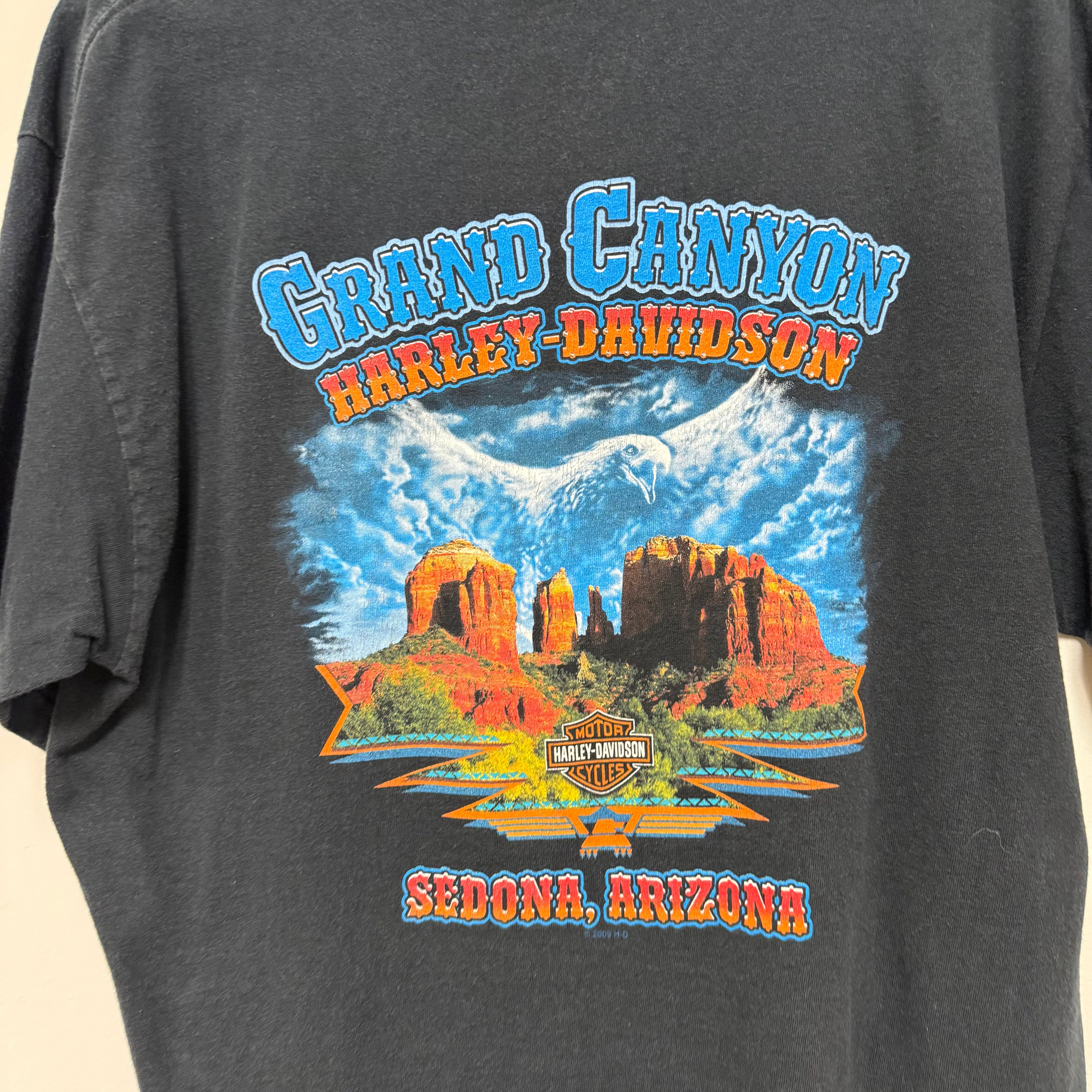 Vintage Harley-Davidson Clown Graphic Grand Canyon T-Shirt: L