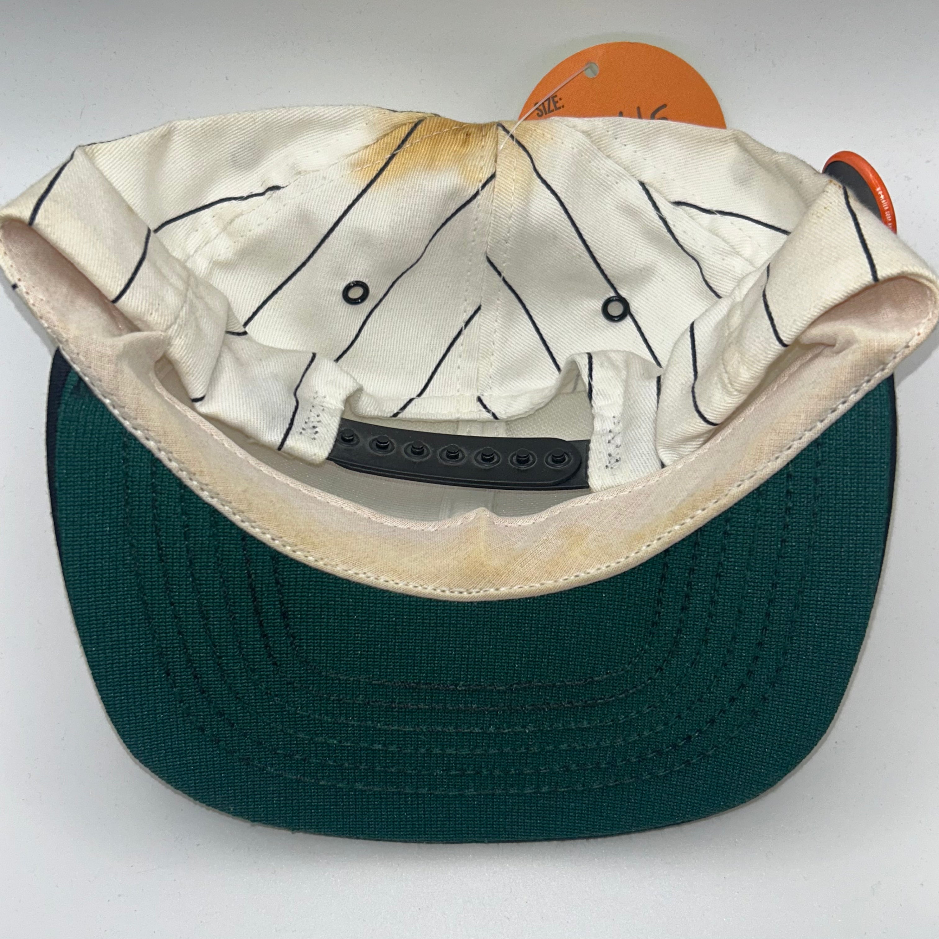 Vintage Pinstripe Darrel Waltrip 17 NASCAR Racing Snapback Hat