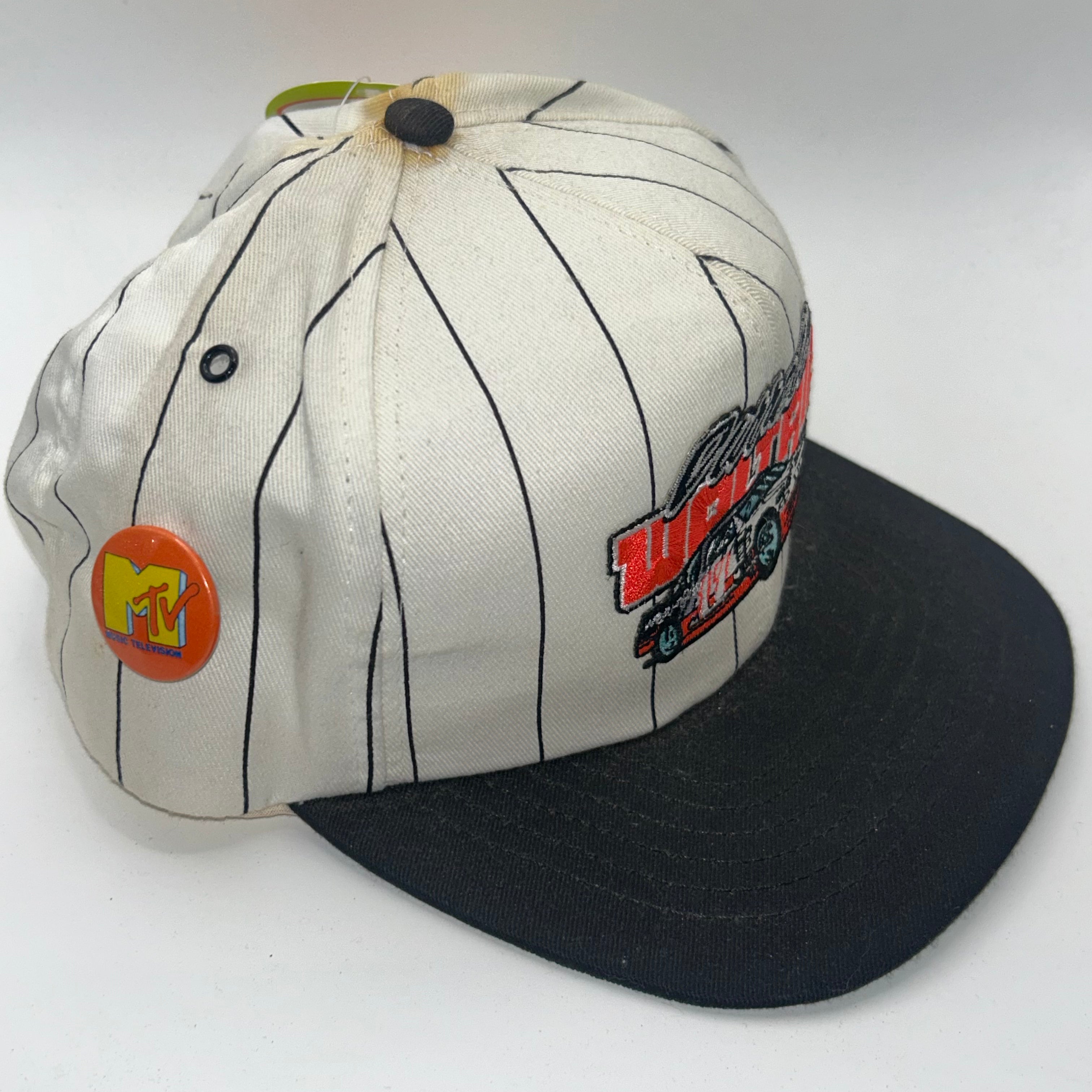 Vintage Pinstripe Darrel Waltrip 17 NASCAR Racing Snapback Hat