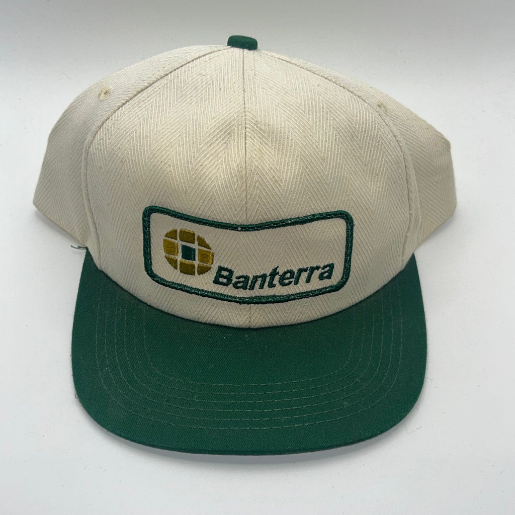 Vintage Banterra Bank Patch Snapback Hat