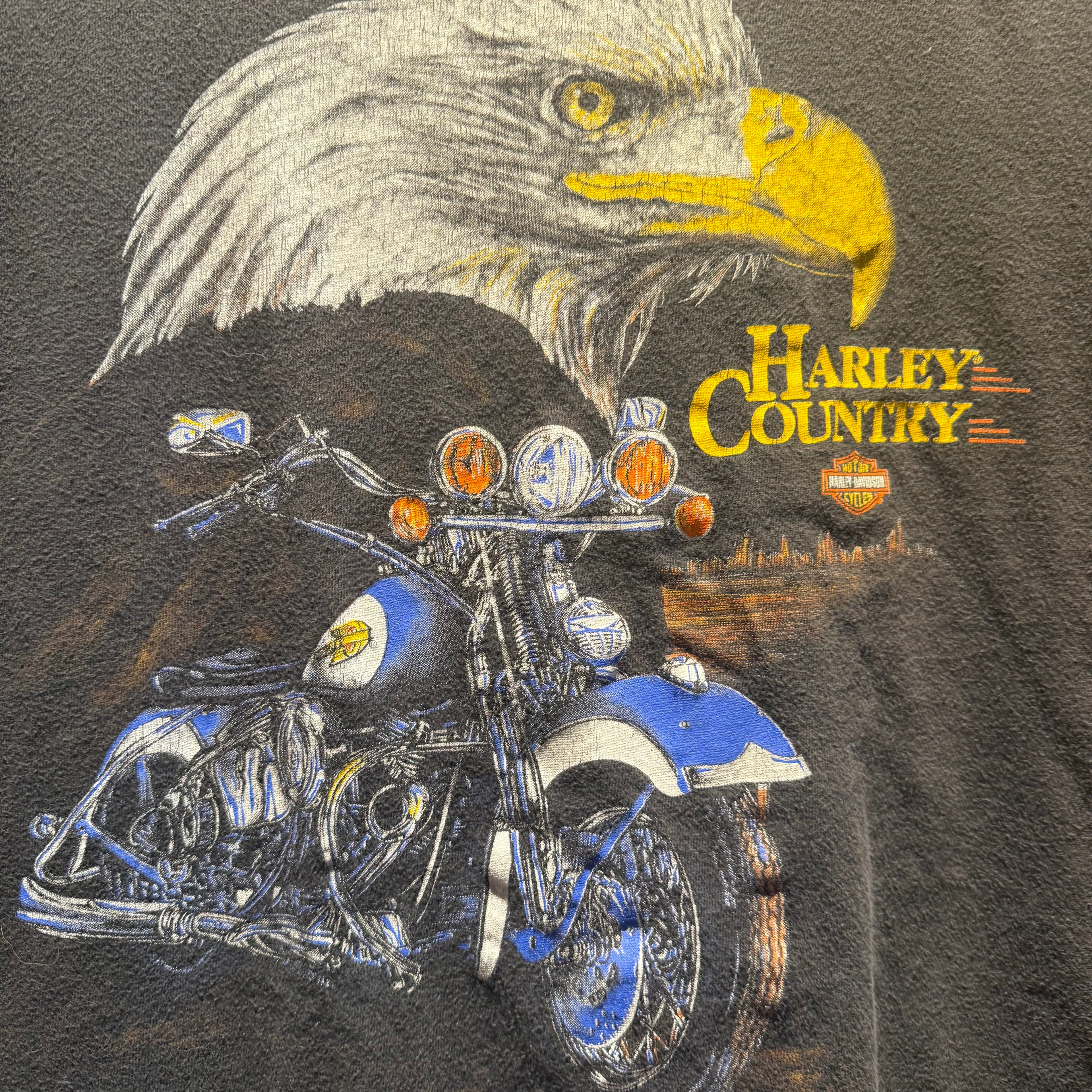 Vintage Harley Davidson Motorcycles Funwear T-Shirt: L