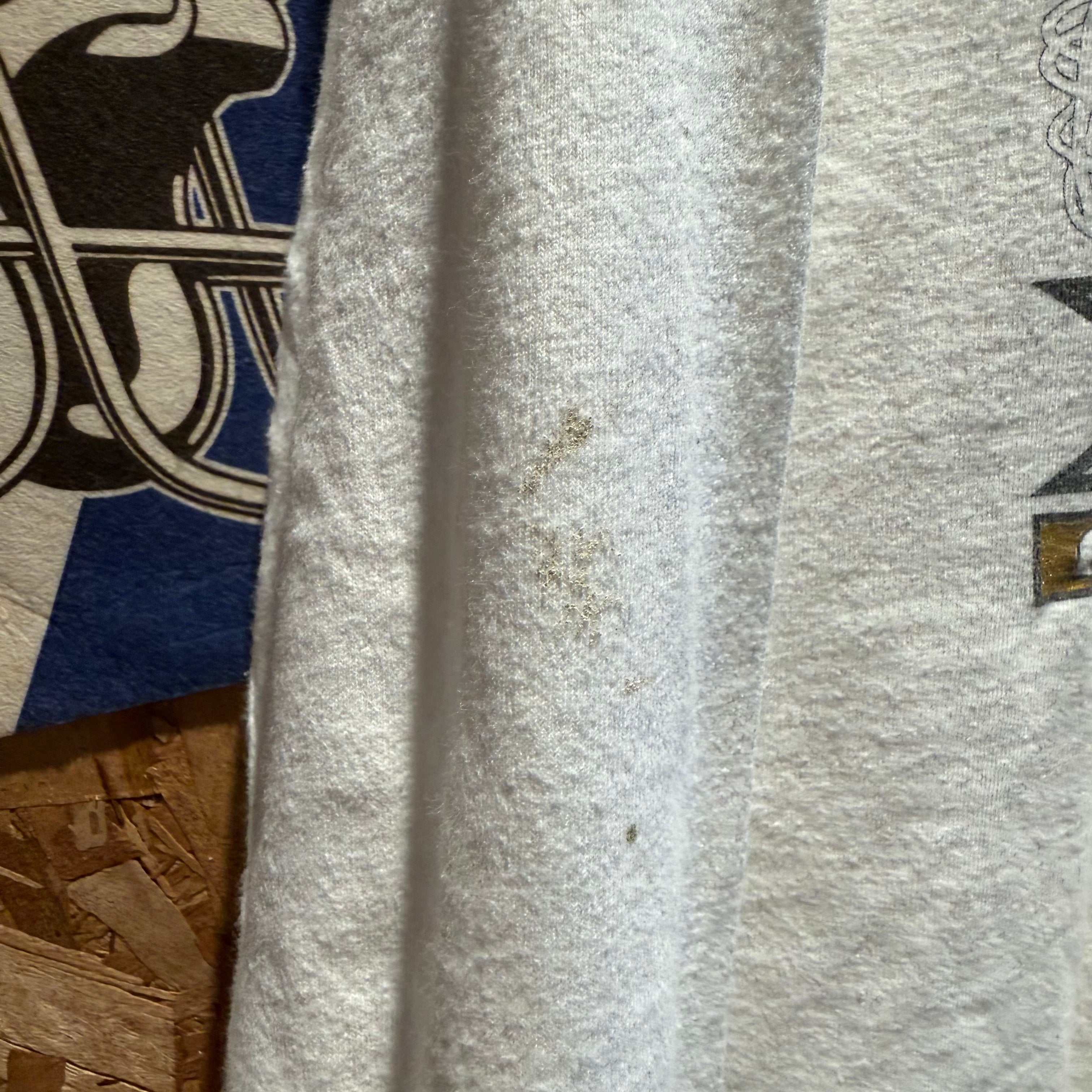 Vintage 2000 Kings of the Pack Big Ten Conference Championship T-Shirt: L