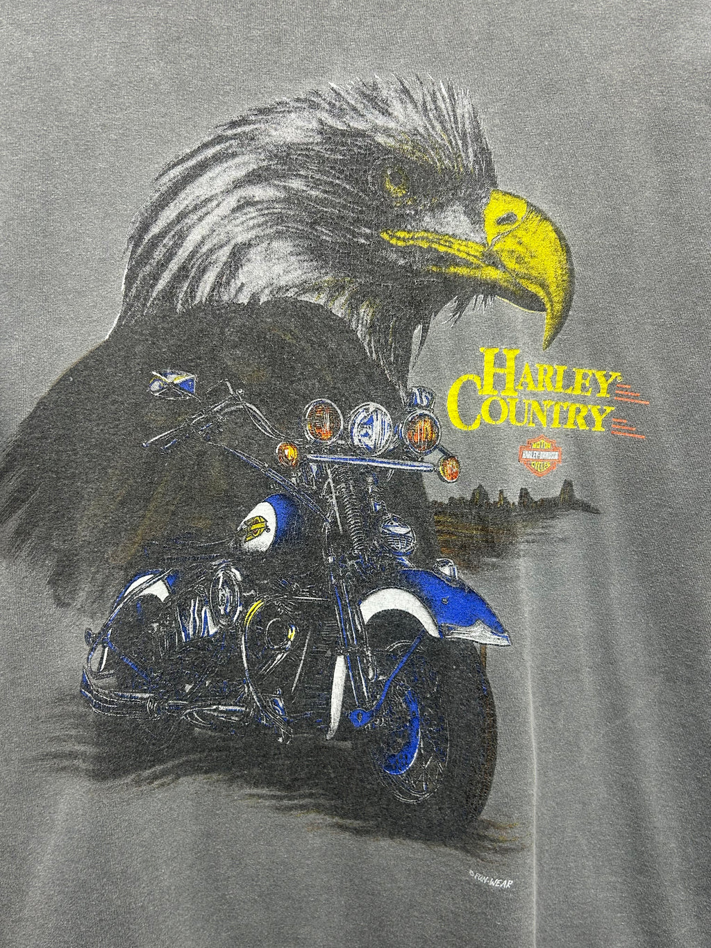 Vintage 90s Harley Davidson Motor Cycles Desert Scene with Eagle T-Shirt: L