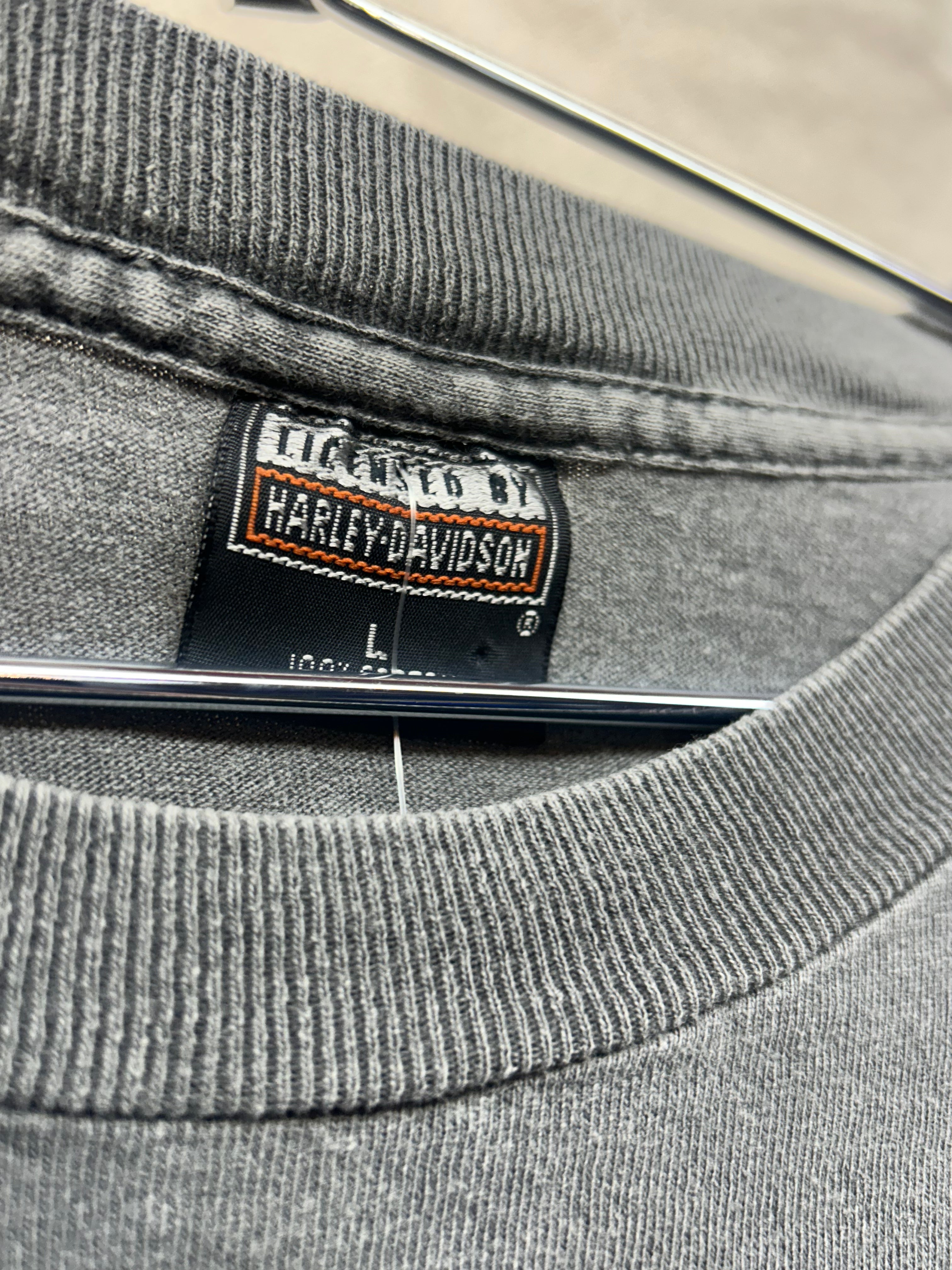 Vintage 90s Harley Davidson Motor Cycles Desert Scene with Eagle T-Shirt: L