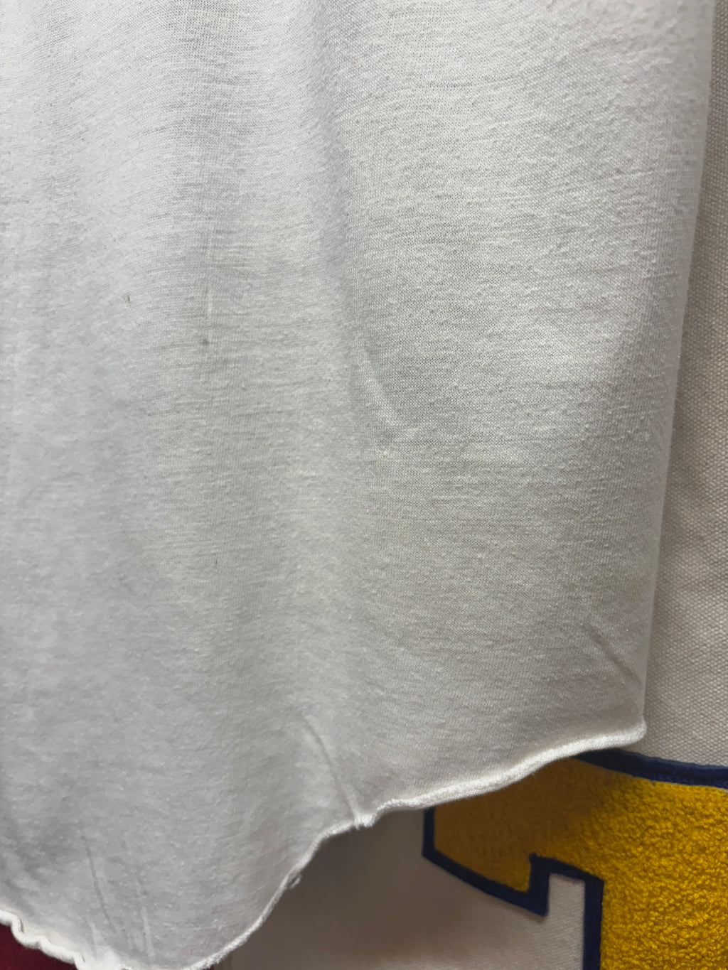 Vintage Ozzy Osbourne The Ultimate Sin Tour Cutoff T-Shirt: M