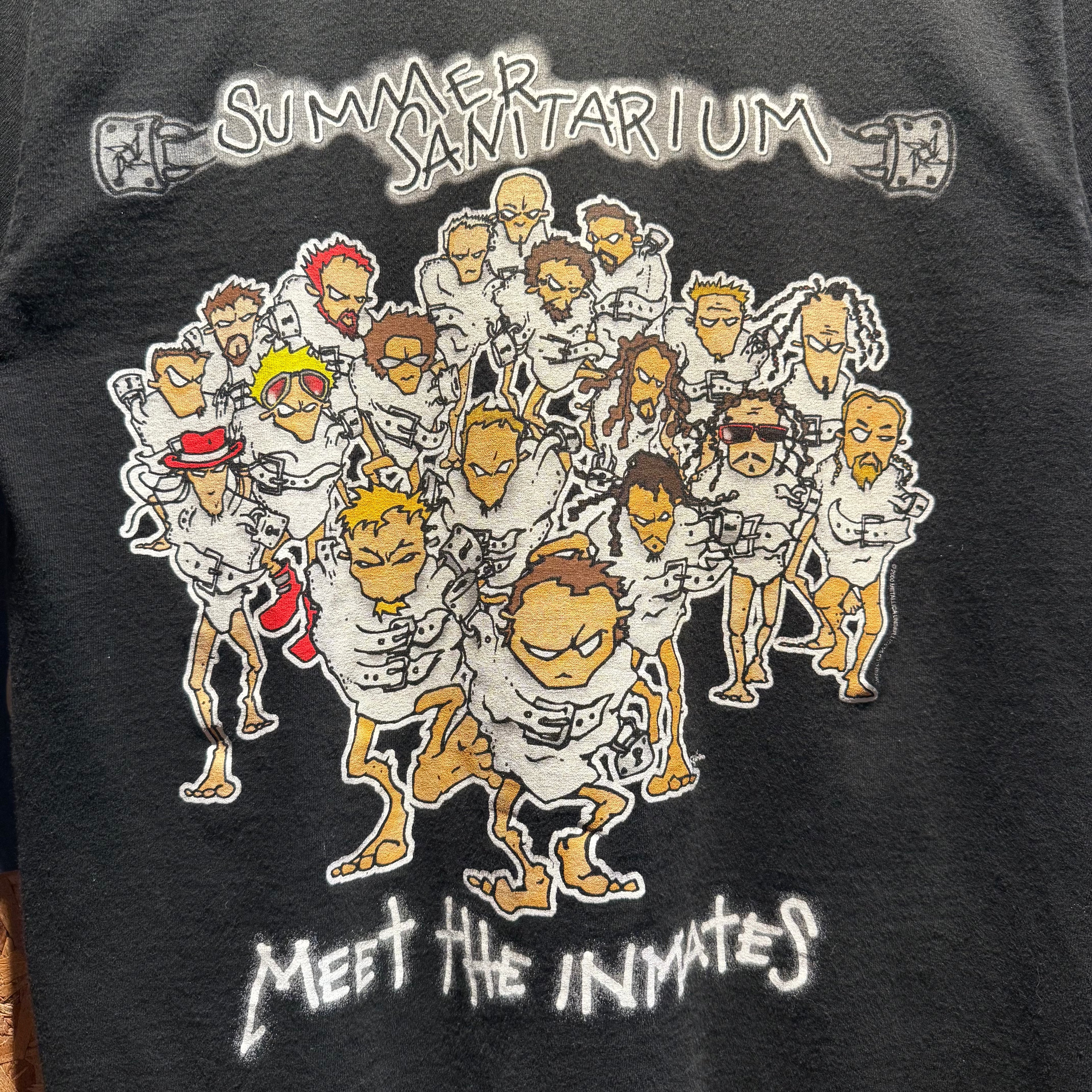 Vintage 2000 Summer Sanitarium Tour T-Shirt: Medium