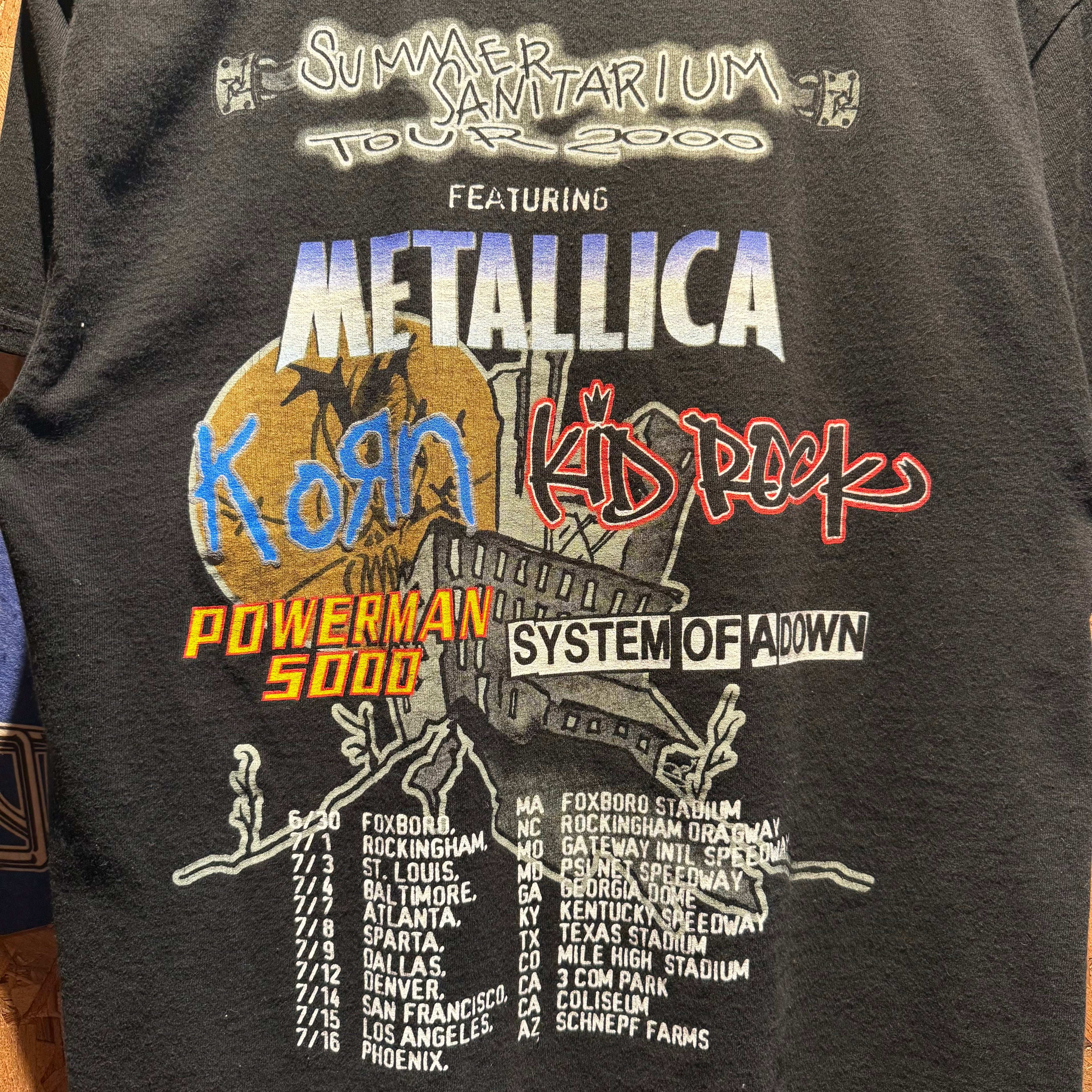 Vintage 2000 Summer Sanitarium Tour T-Shirt: Medium
