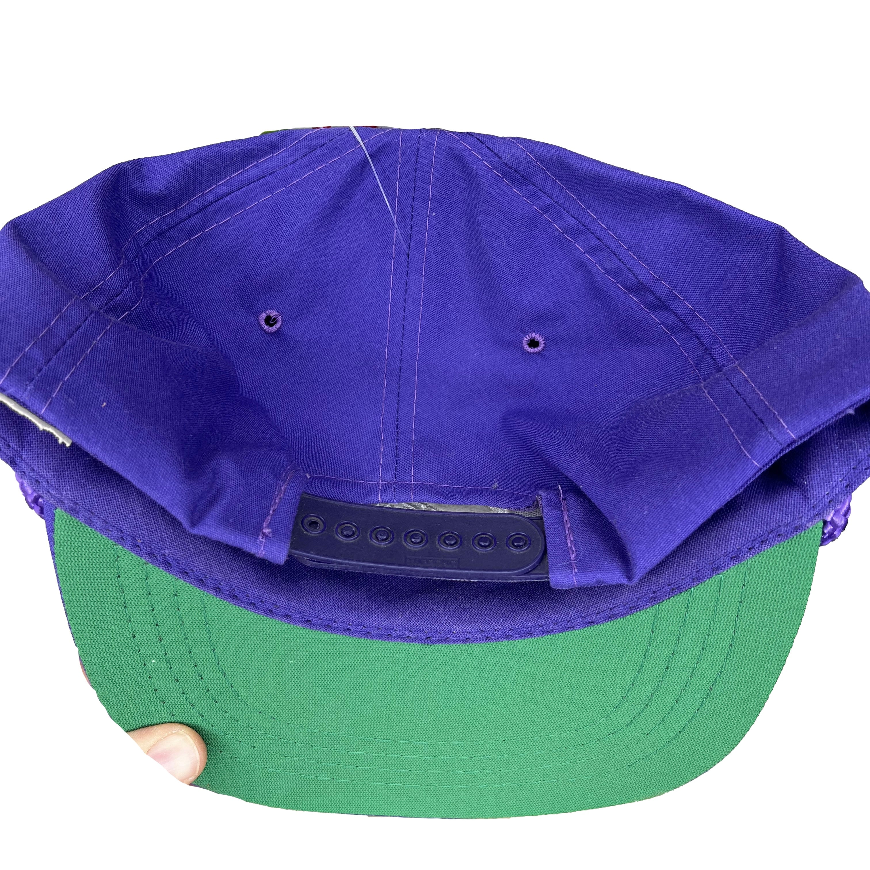 Vtg Northwestern University Wildcats Purple Rope Snapback Hat