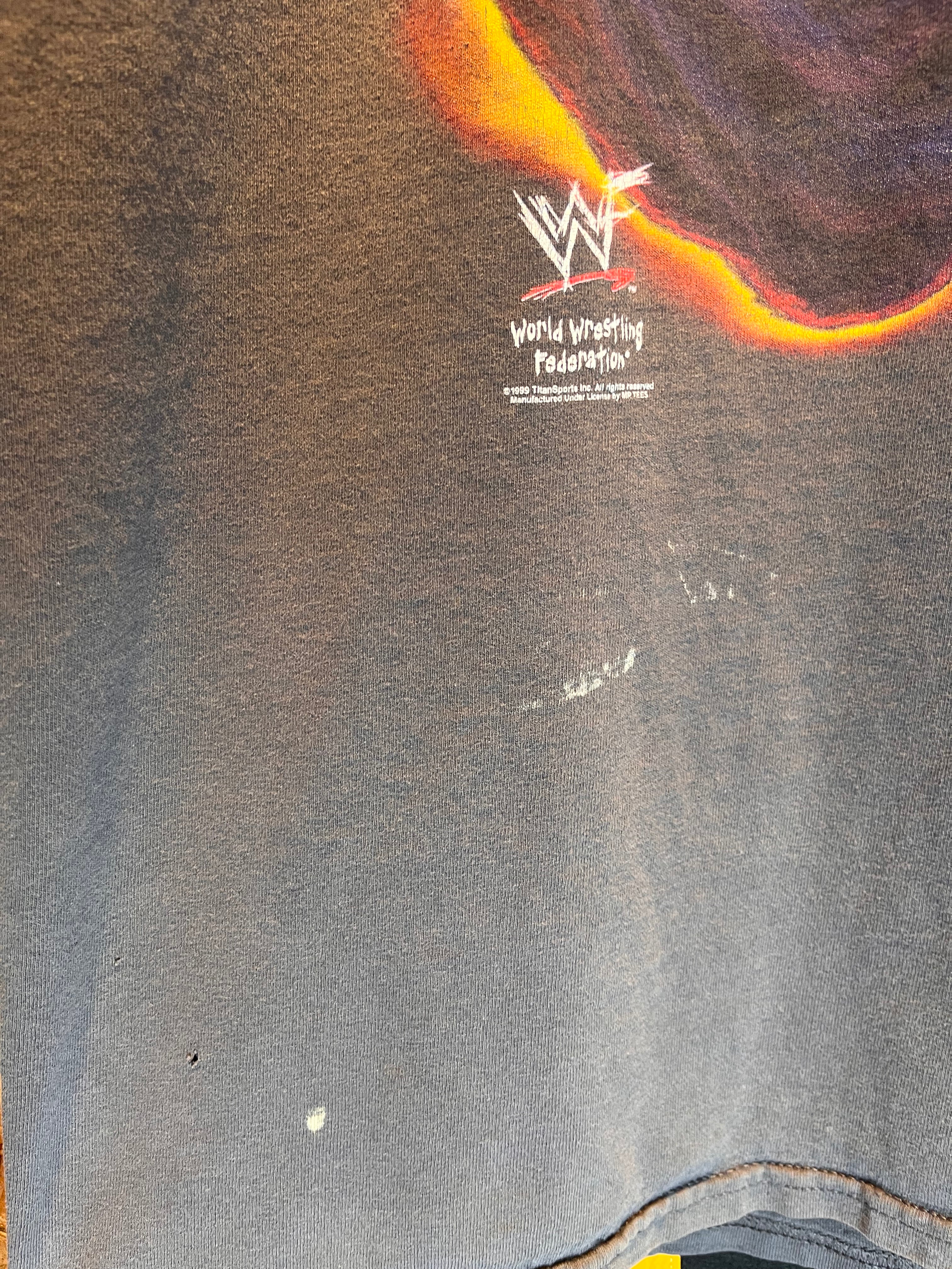 Vintage The Rock Says No Roody Poos Allowed WWF Wrestling T-Shirt: Large
