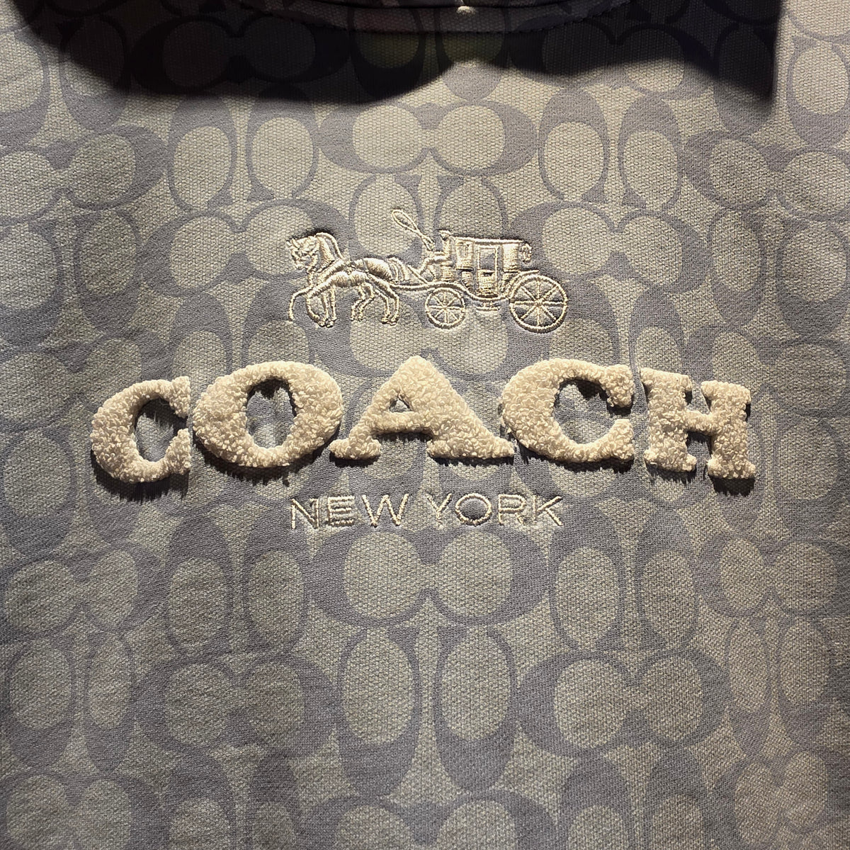 Coach Men’s Gray Signature Logo Pullover Hoodie Cotton Fleece Pockets: Medium