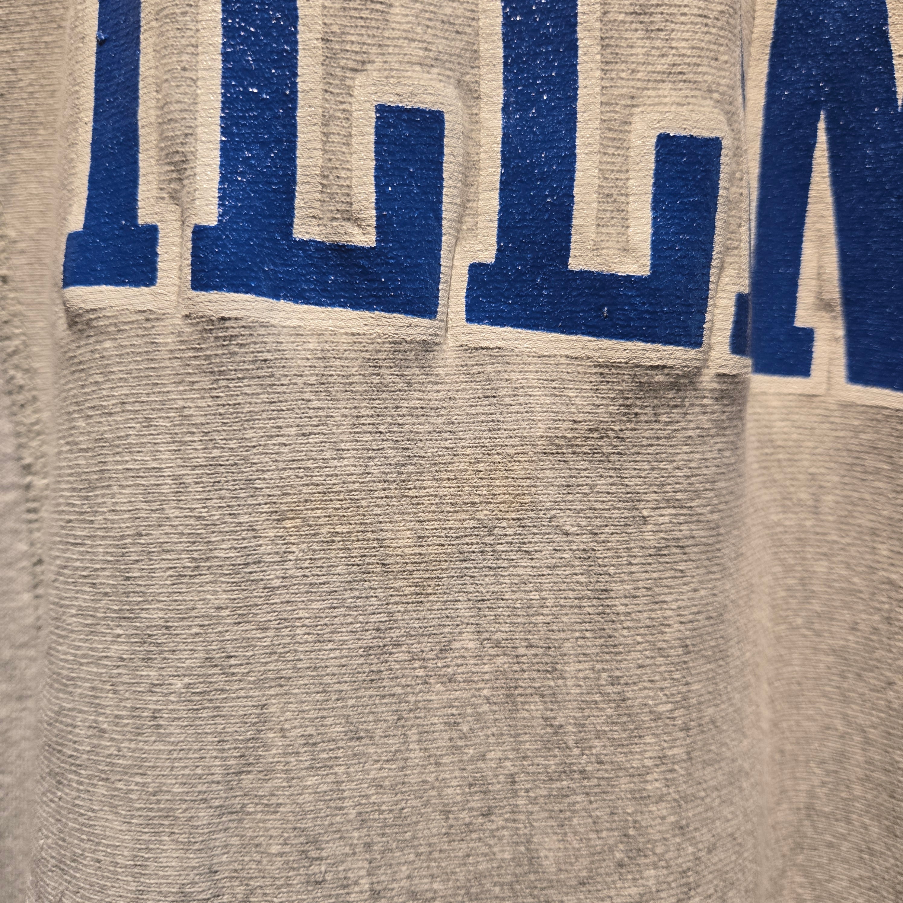 VTG 90's Eastern Illinois University Champion Reverse Weave: XL