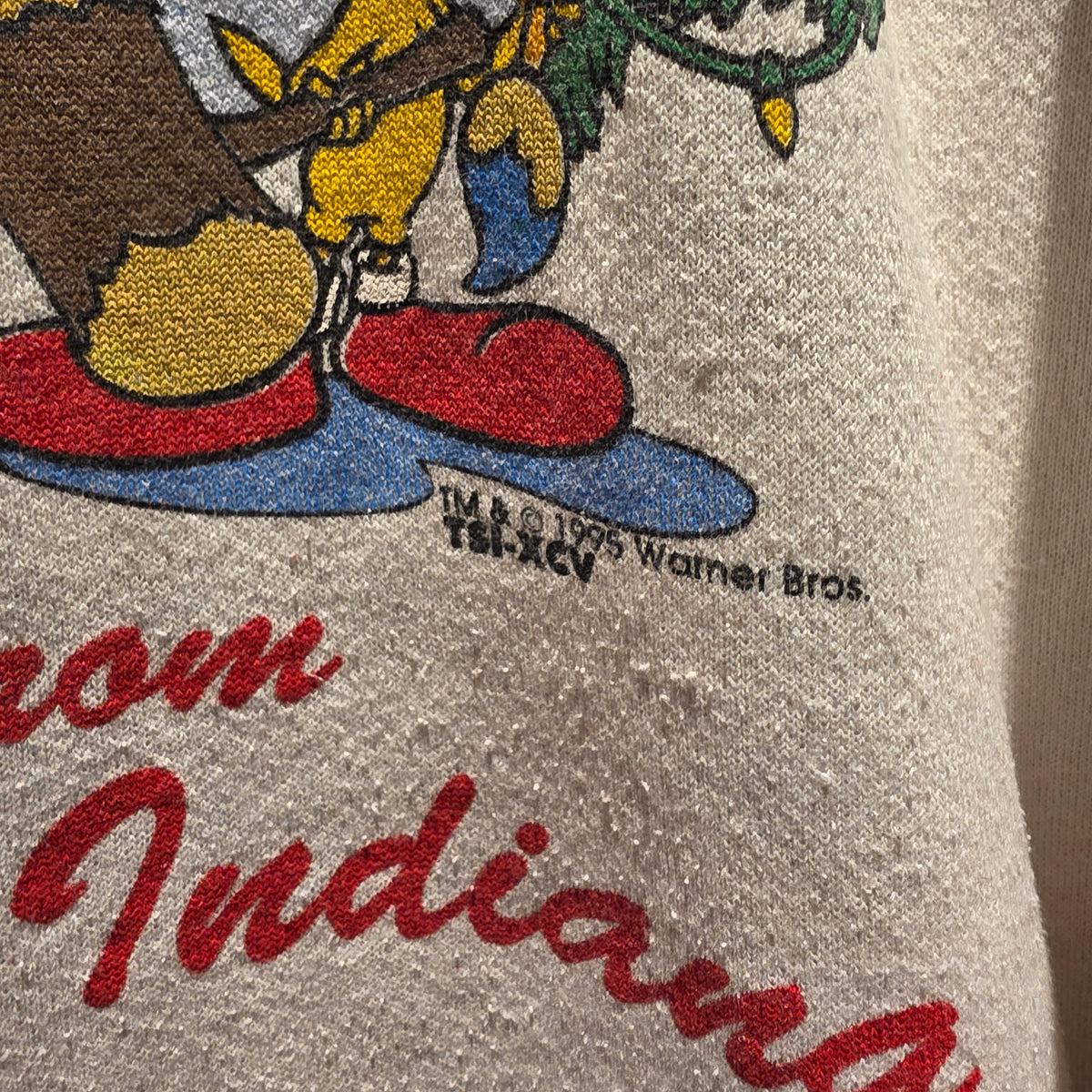 VTG 1995 Tweety Bird Sylvester Season's Greetings From Indiana White Sweatshirt: Large